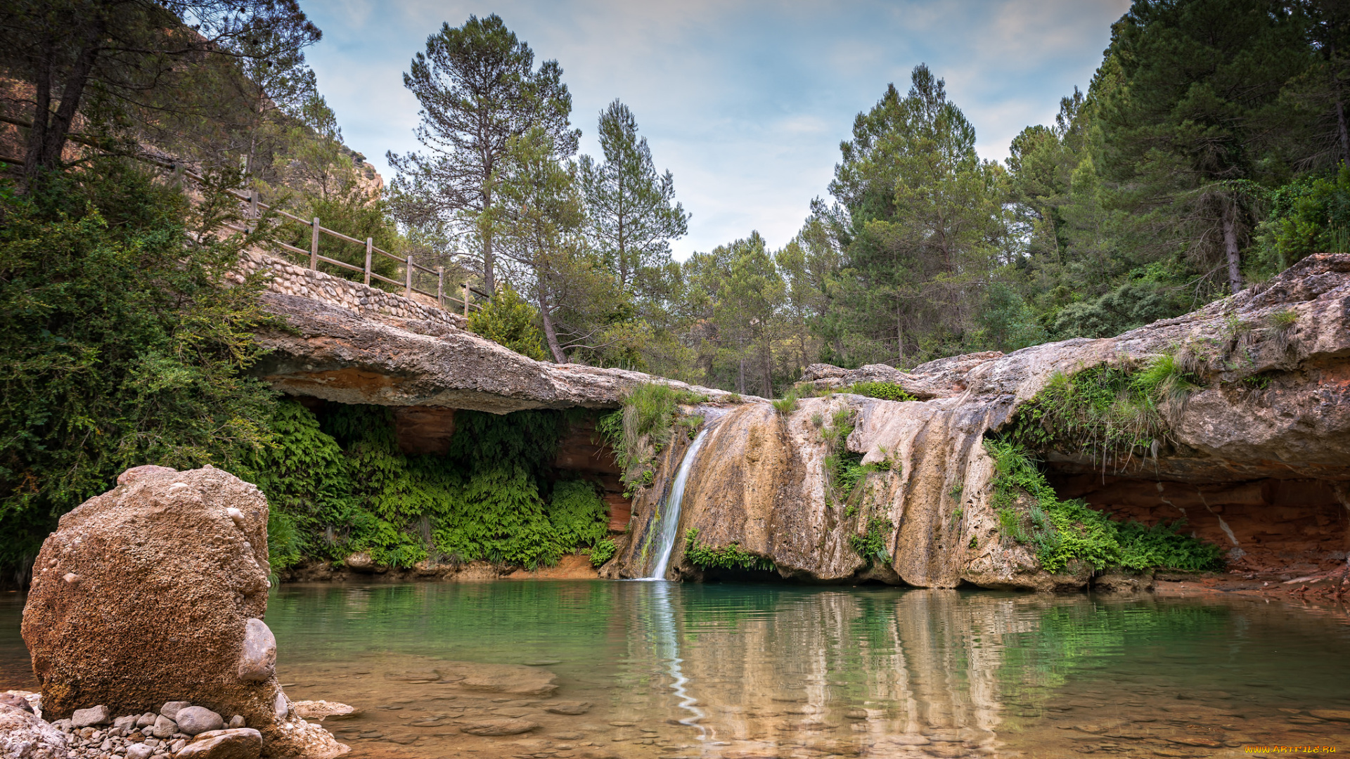 природа, реки, озера, река, лес