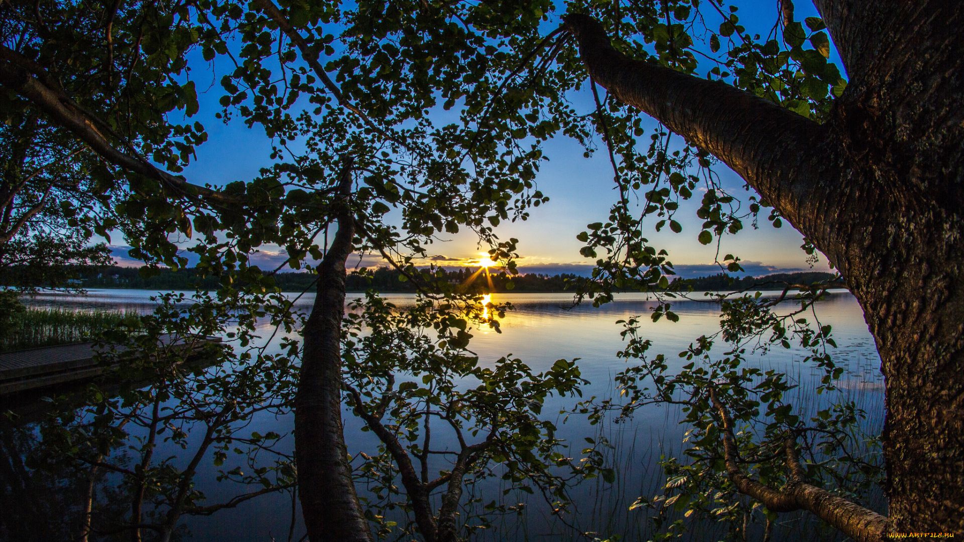 природа, реки, озера, река, лес