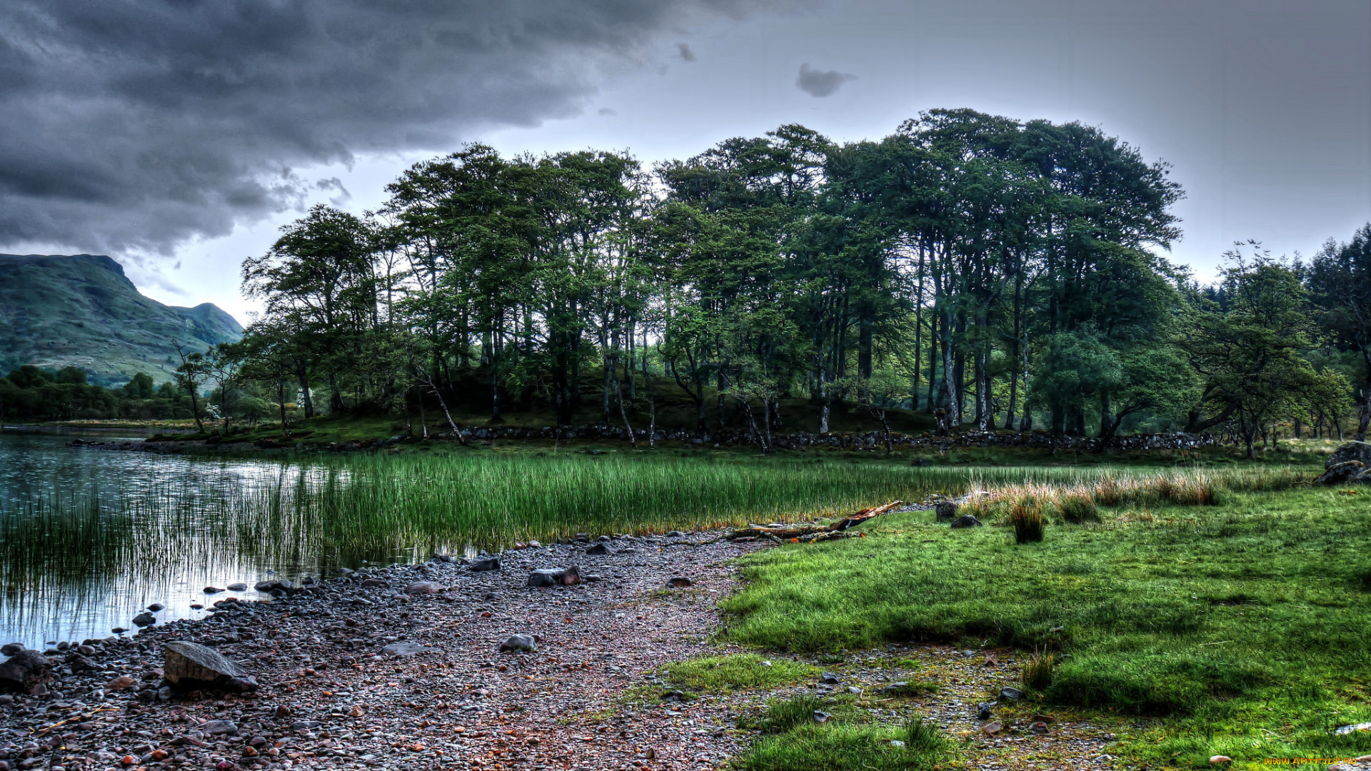 природа, реки, озера, река, лес