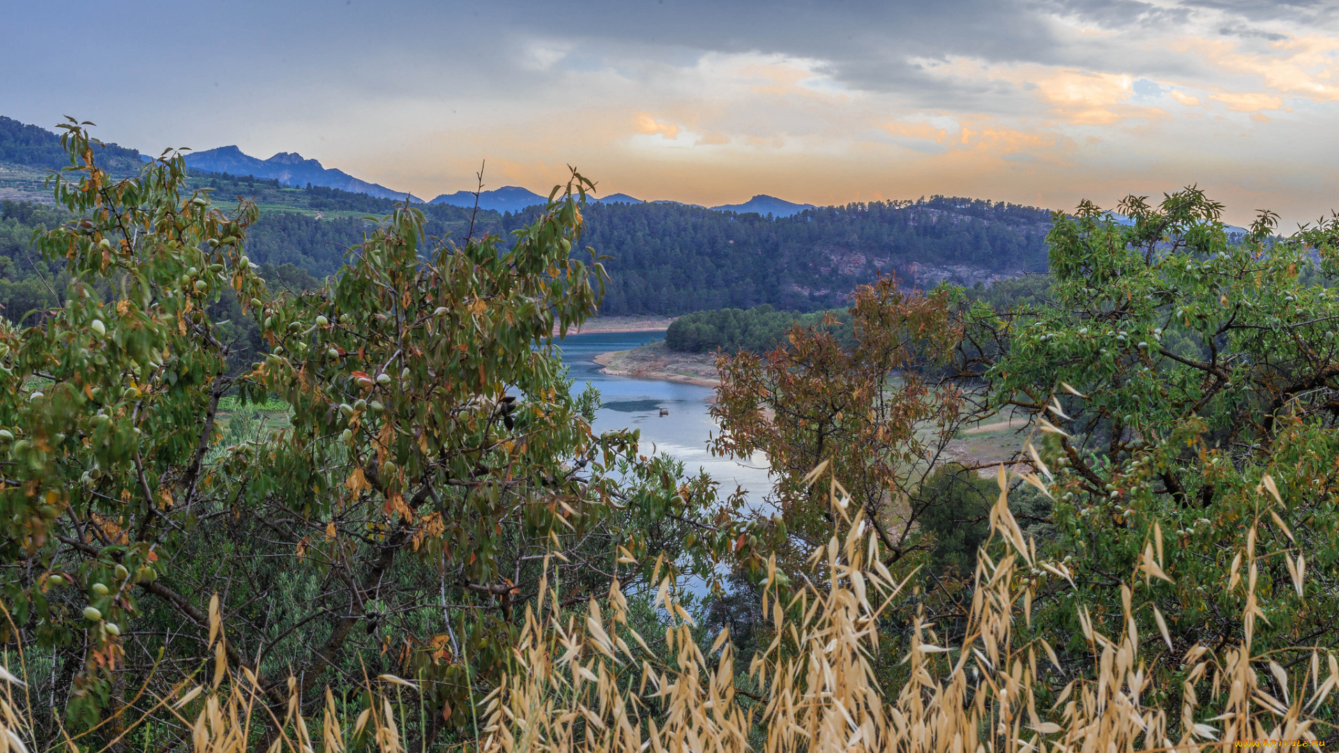 природа, реки, озера, река, лес