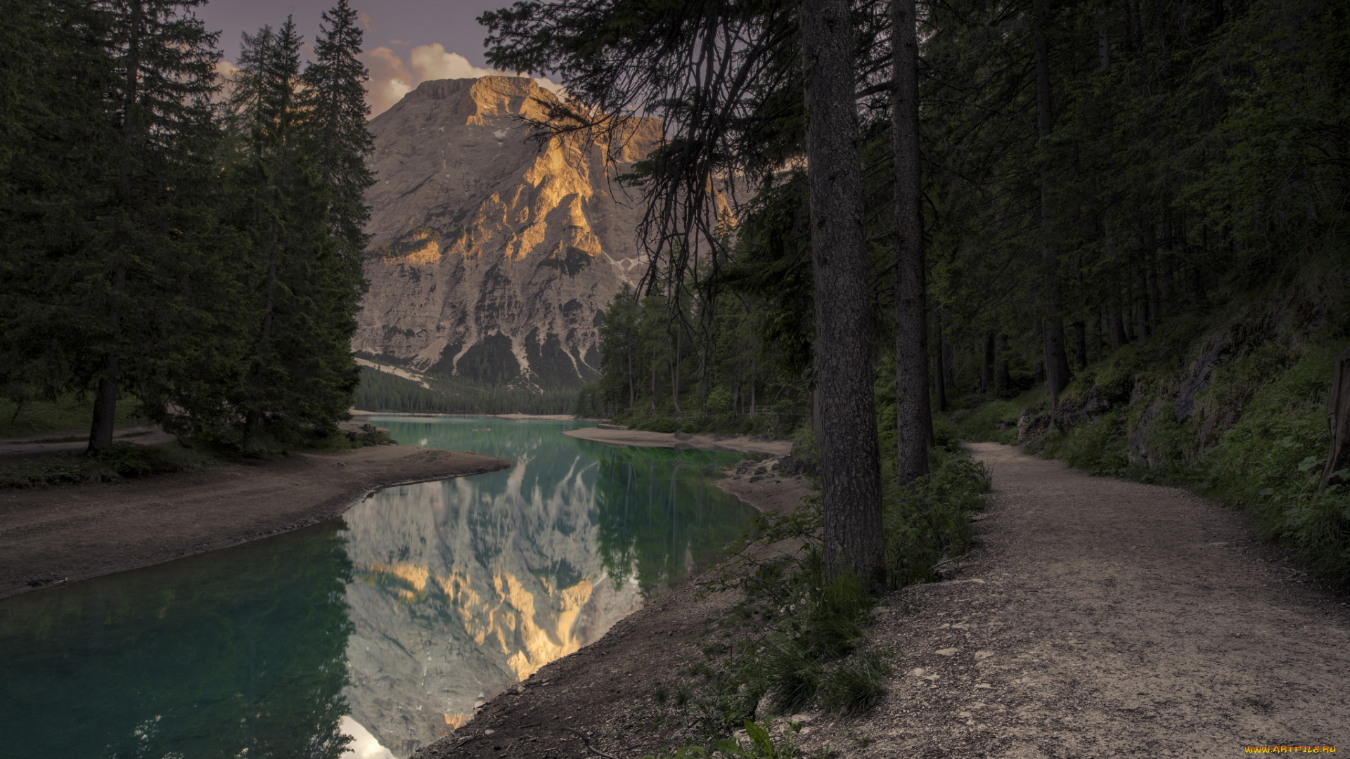 природа, реки, озера, река, лес