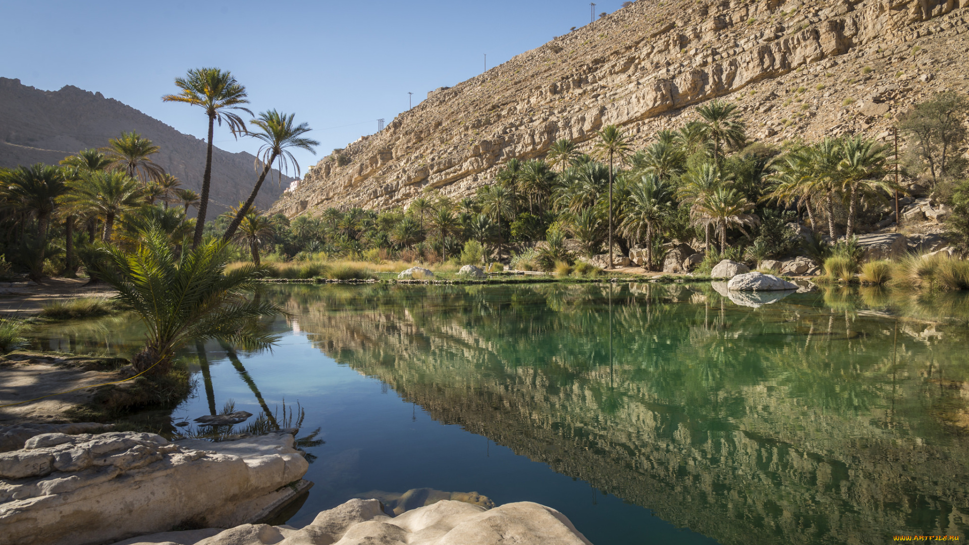 природа, реки, озера, река, лес