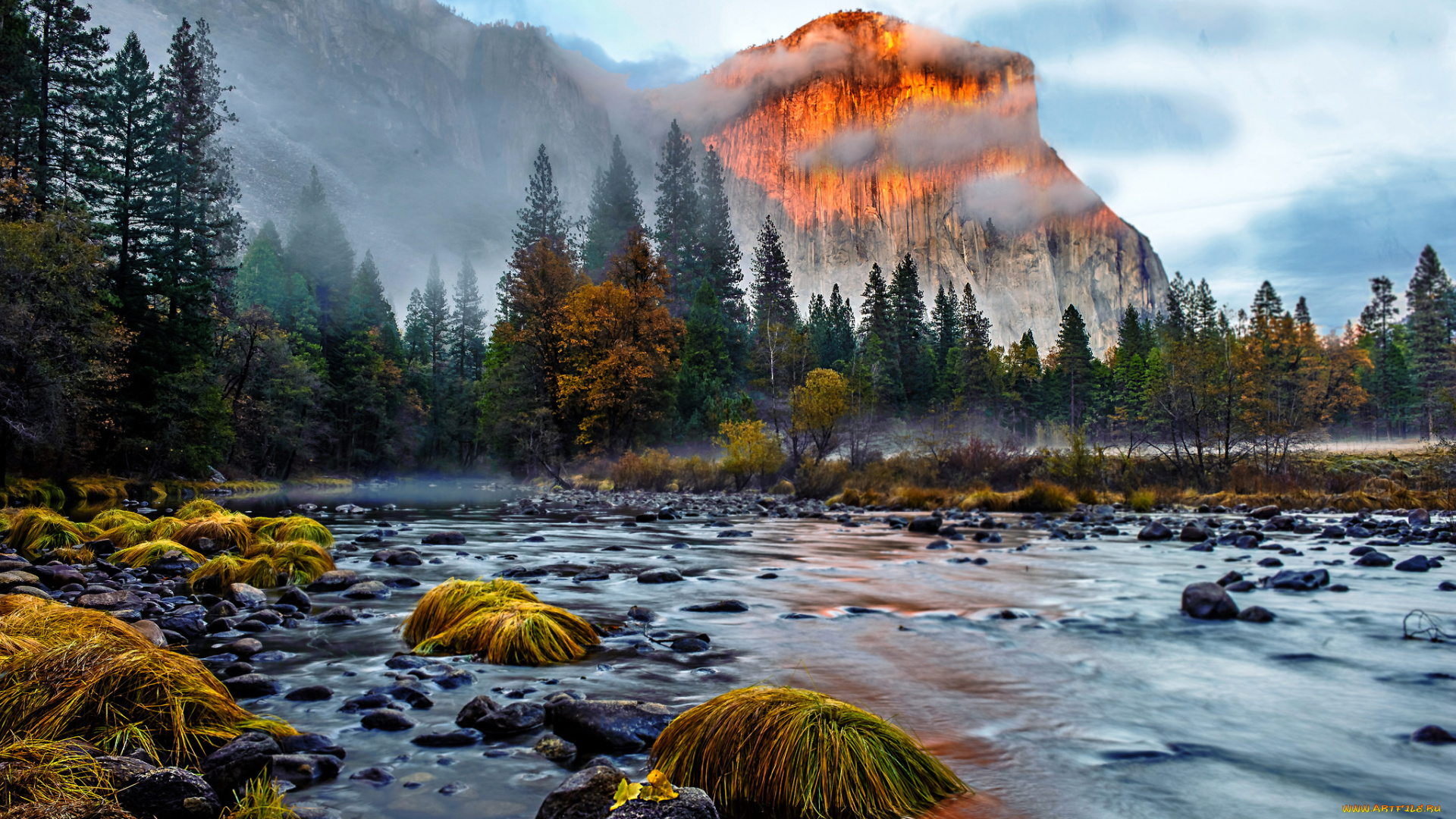 природа, реки, озера, река, лес