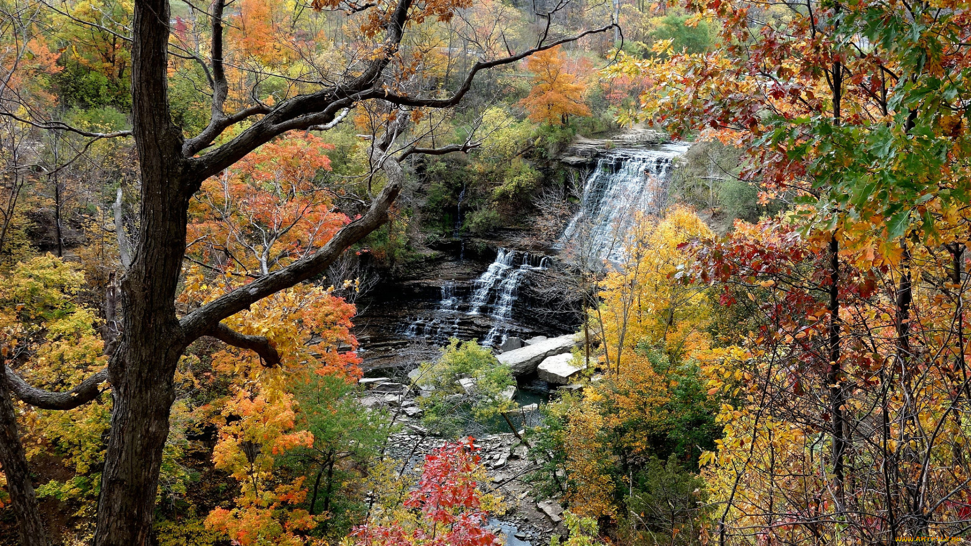 природа, вода, водопад, река, лес