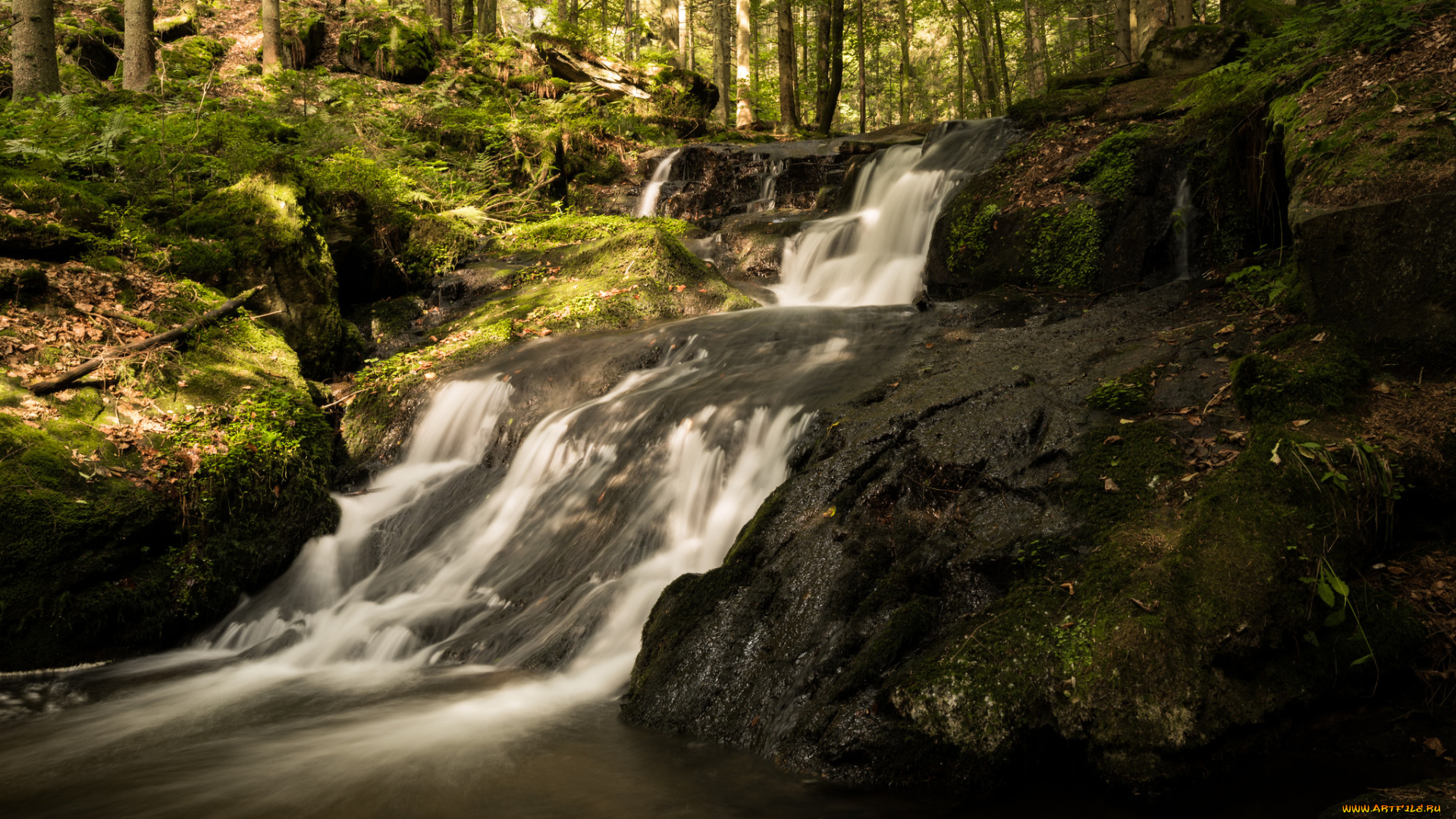 природа, водопады, лес, водопад, река