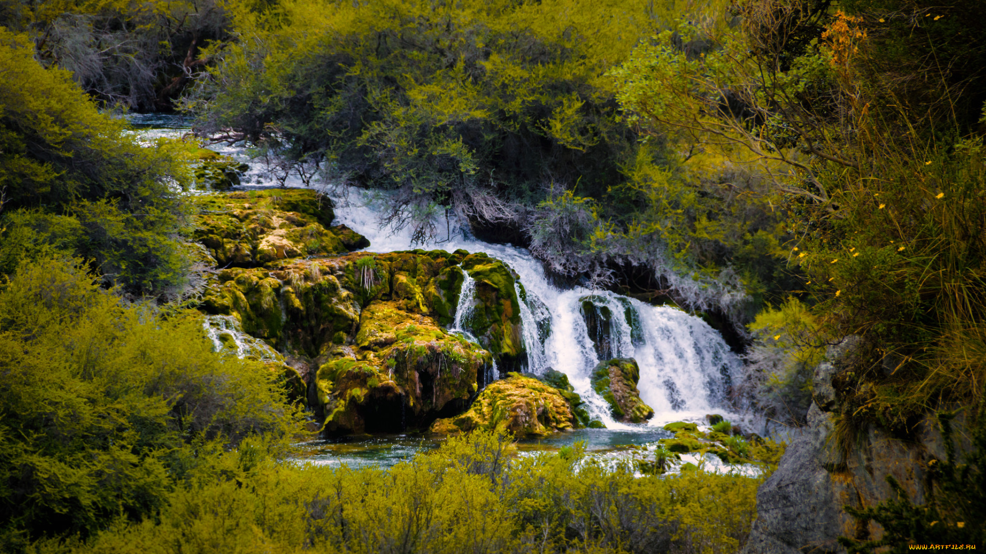 природа, водопады, водопад, лес, река