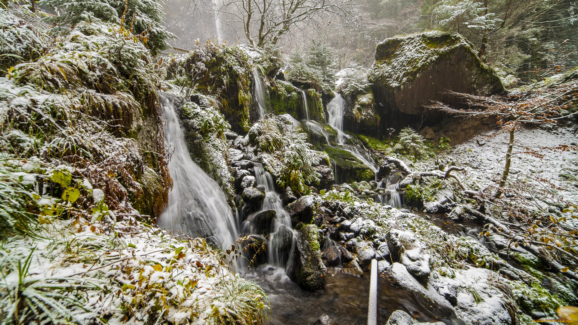 природа, водопады, водопад, река, лес