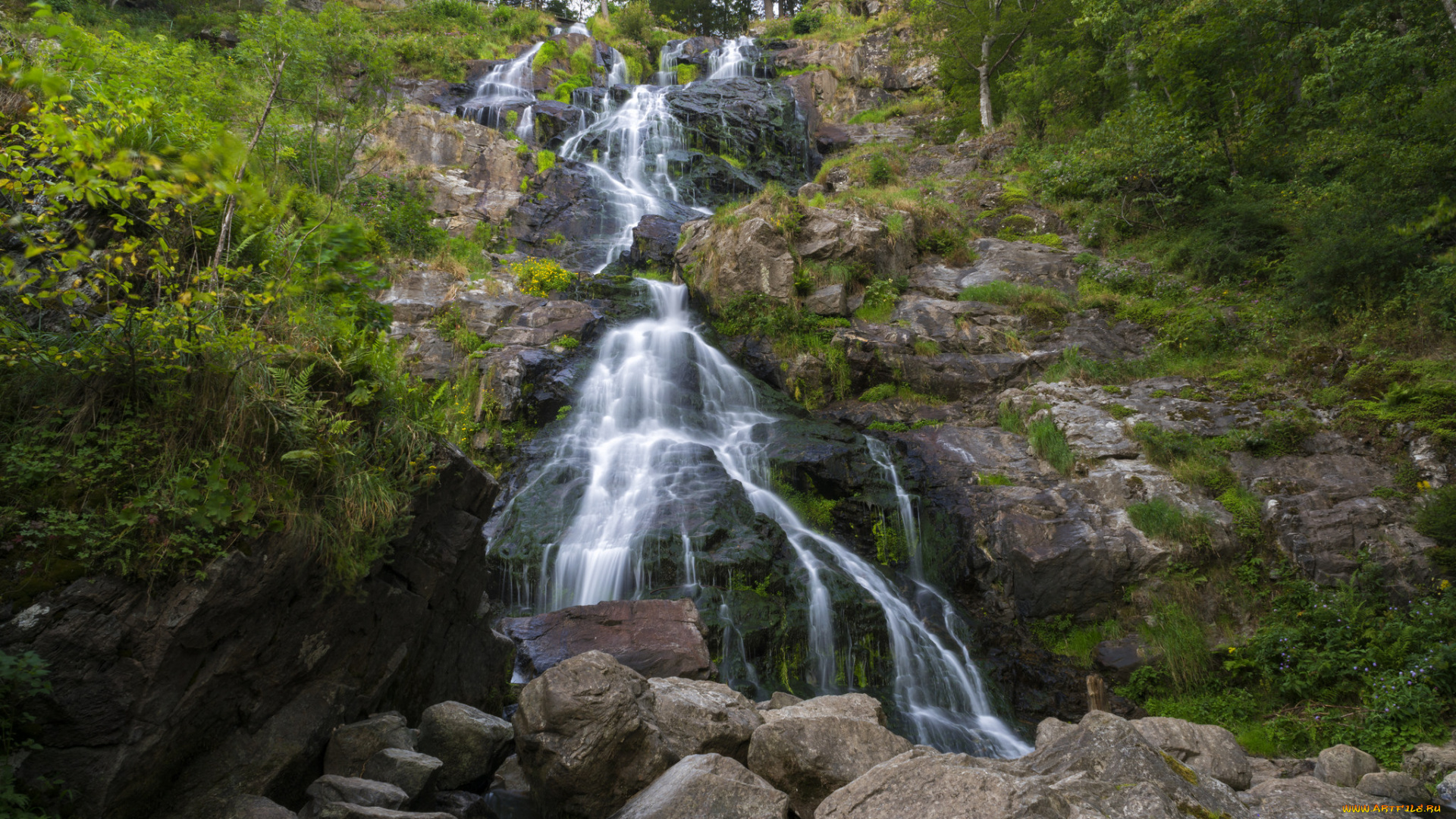 природа, водопады, водопад, река, лес