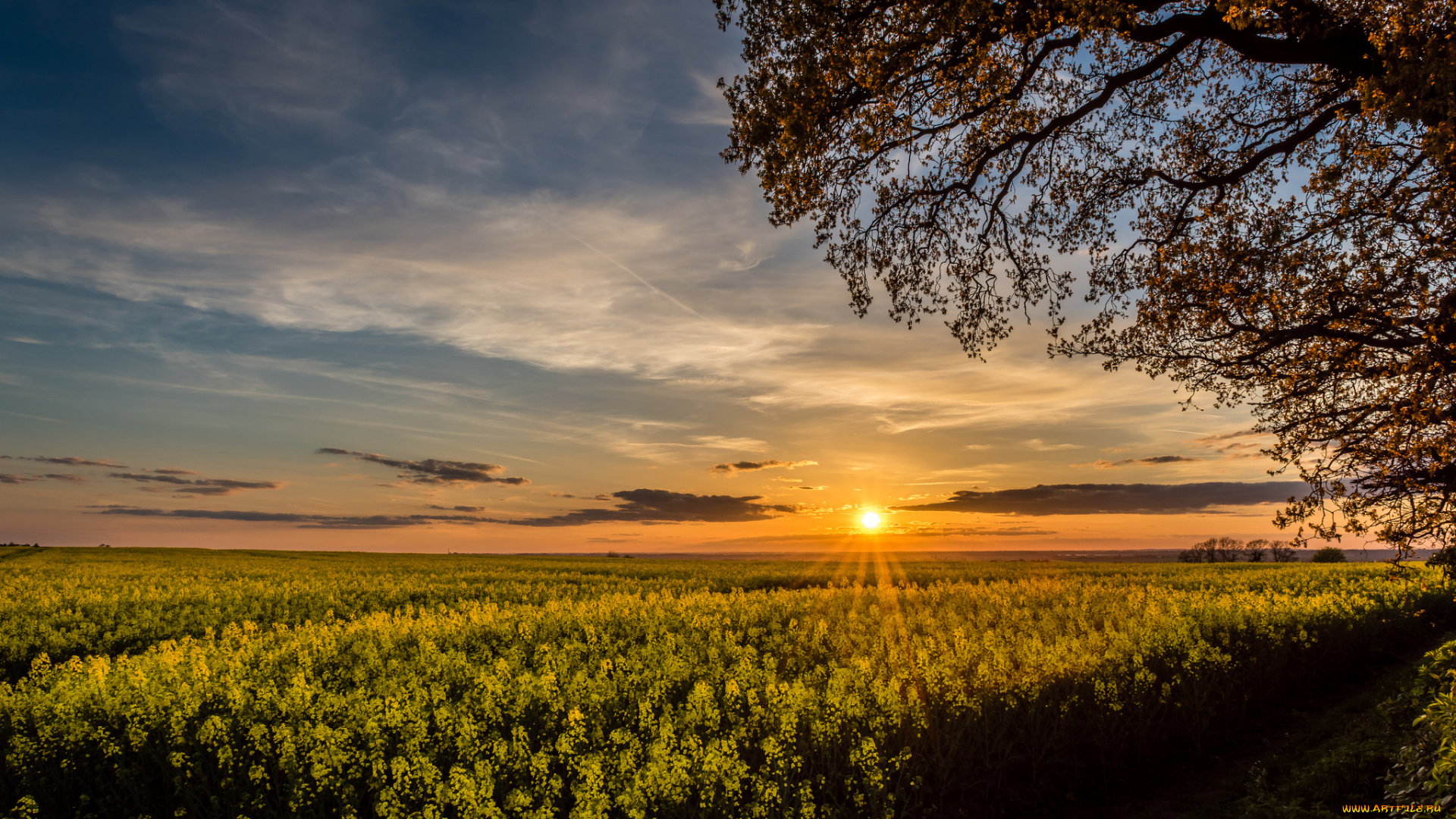 природа, восходы, закаты, рассвет