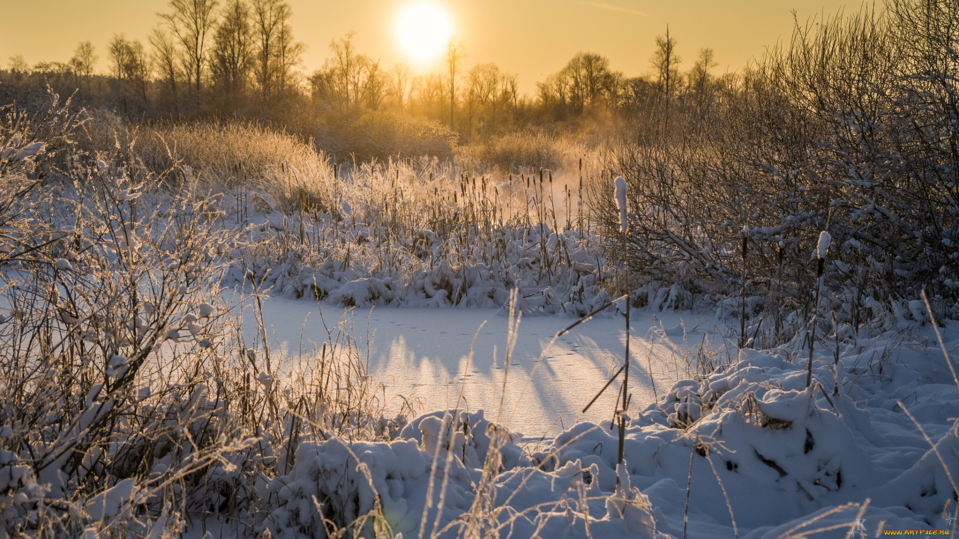 природа, зима, рассвет