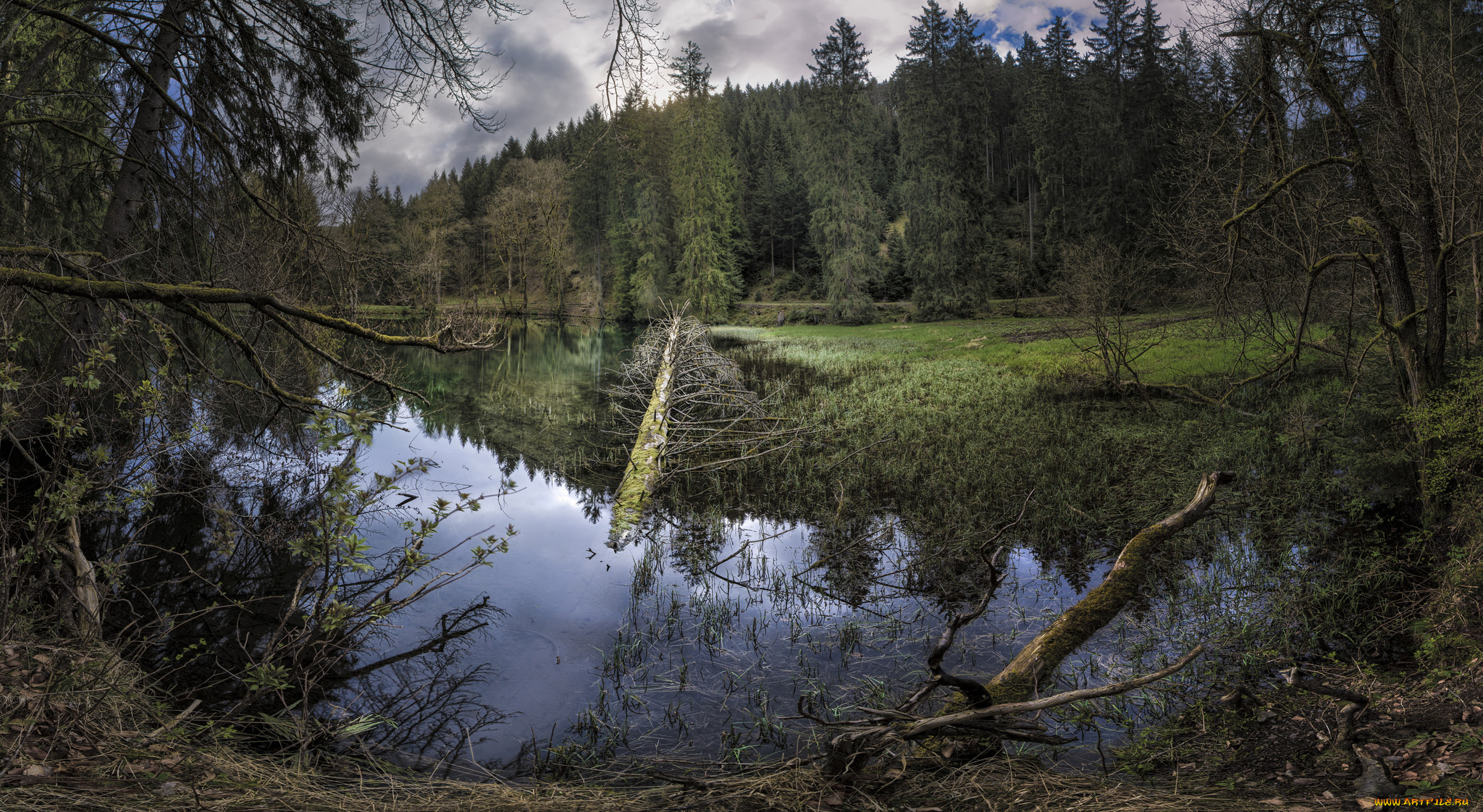 природа, реки, озера, река, лес