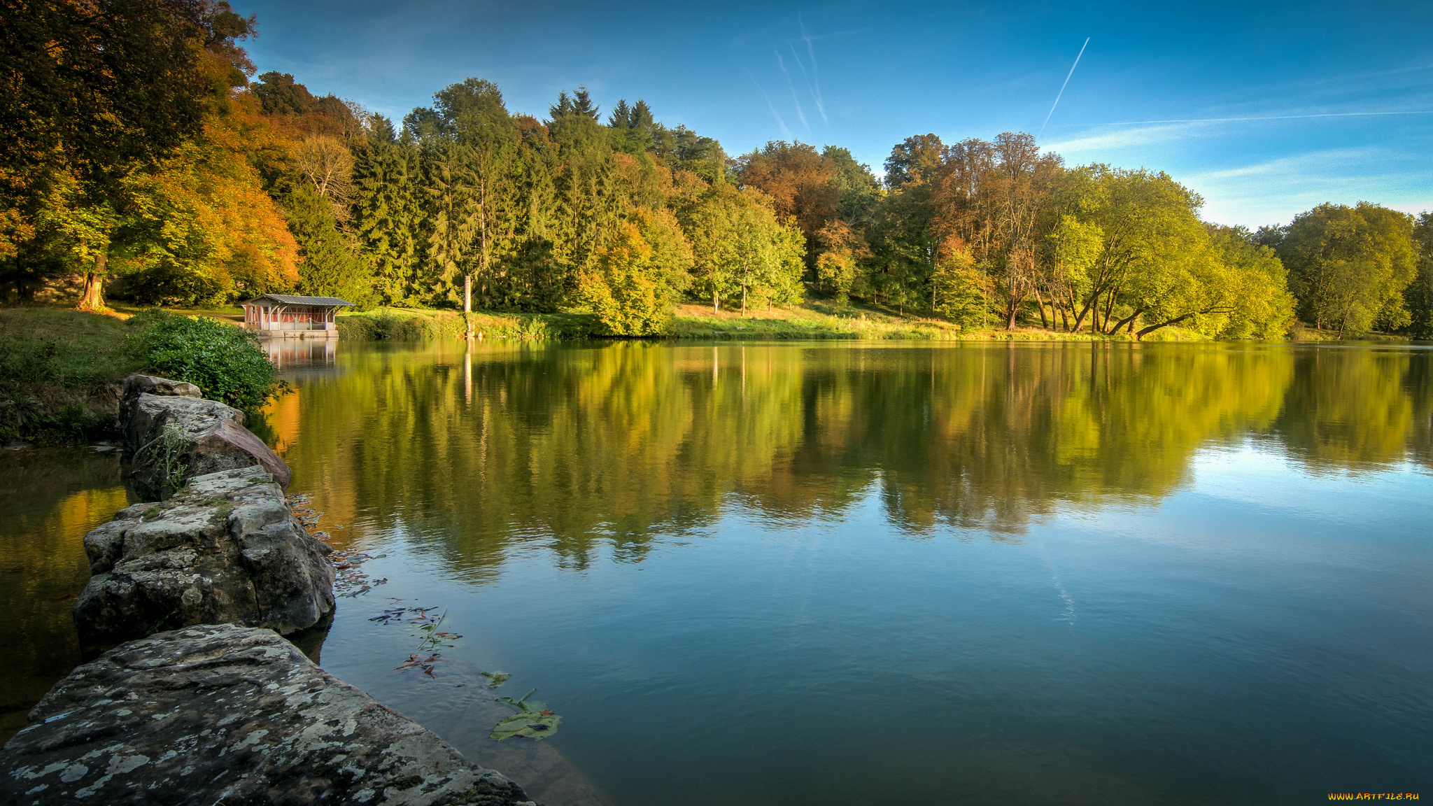 природа, реки, озера, лес, река