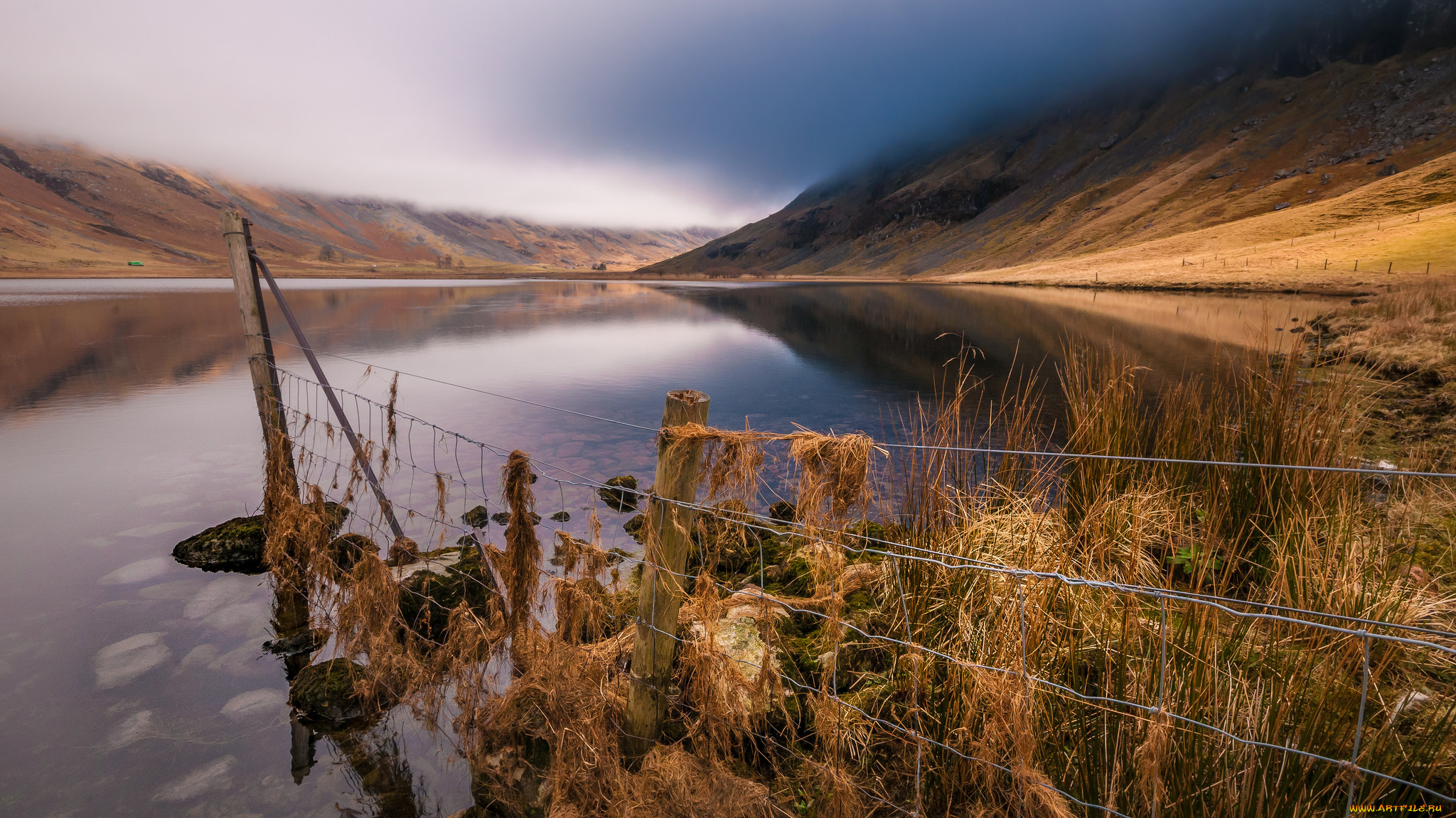 природа, реки, озера, лес, река