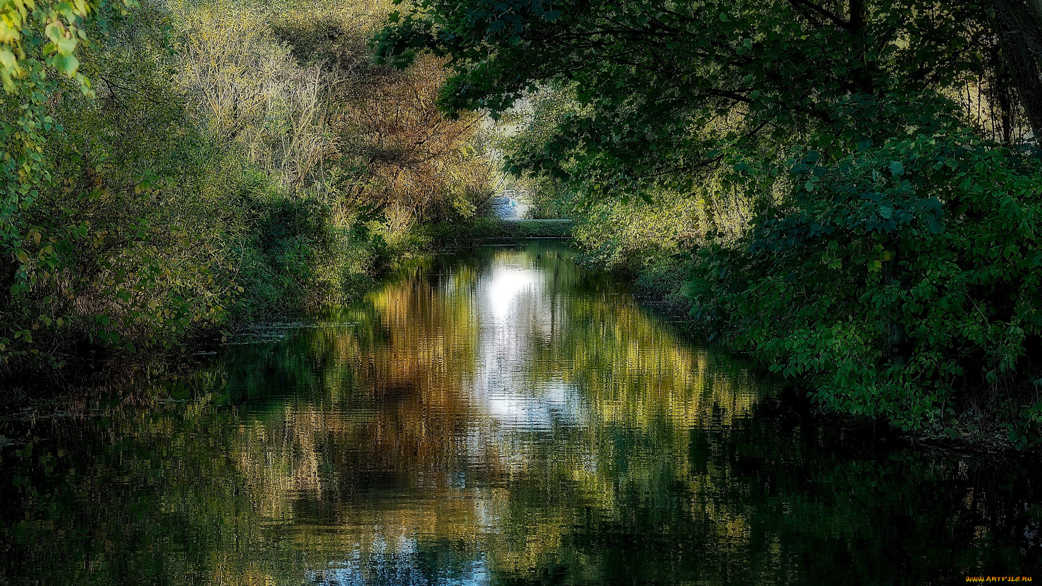 природа, реки, озера, река, лес