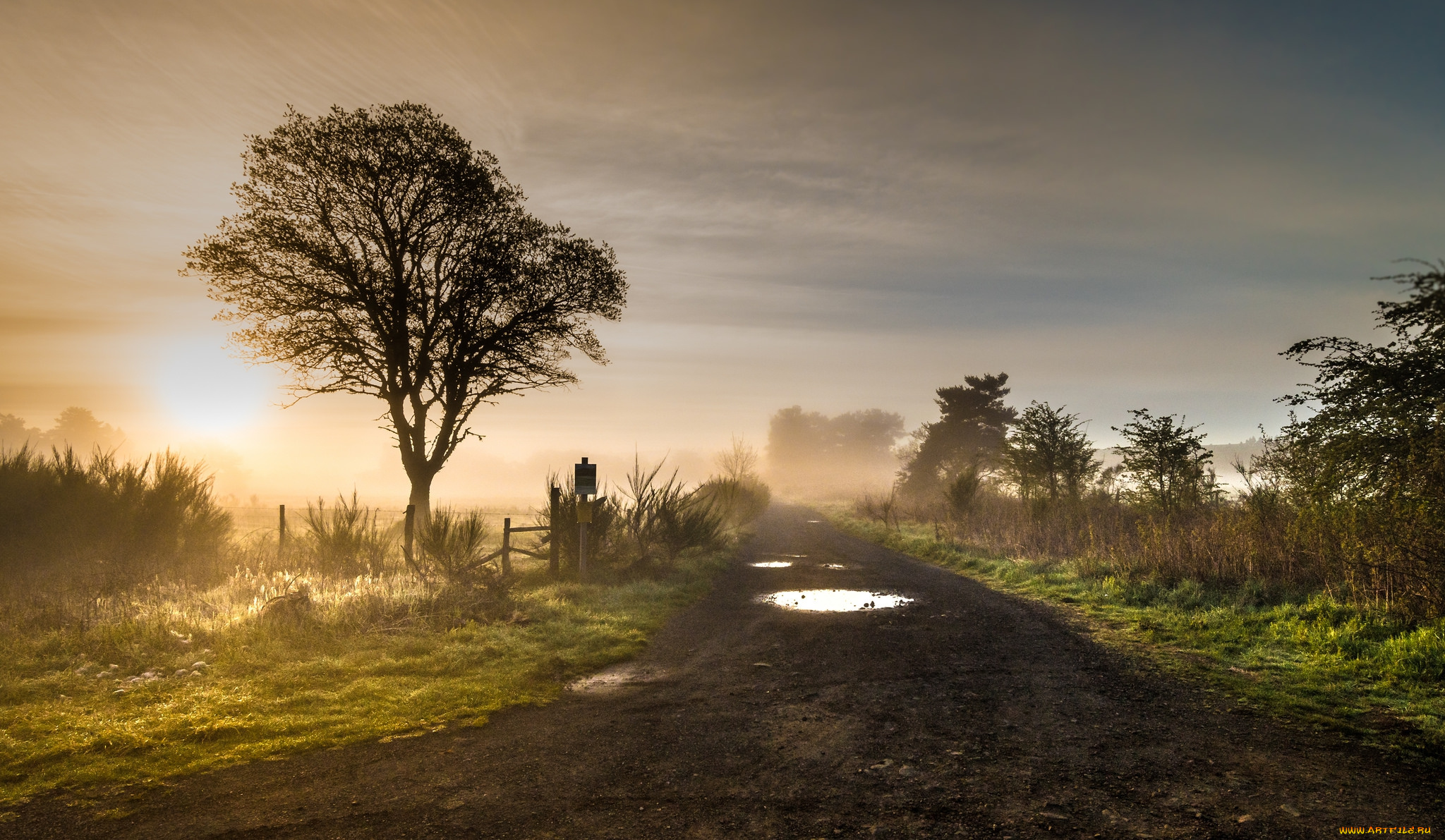 природа, дороги, тракт
