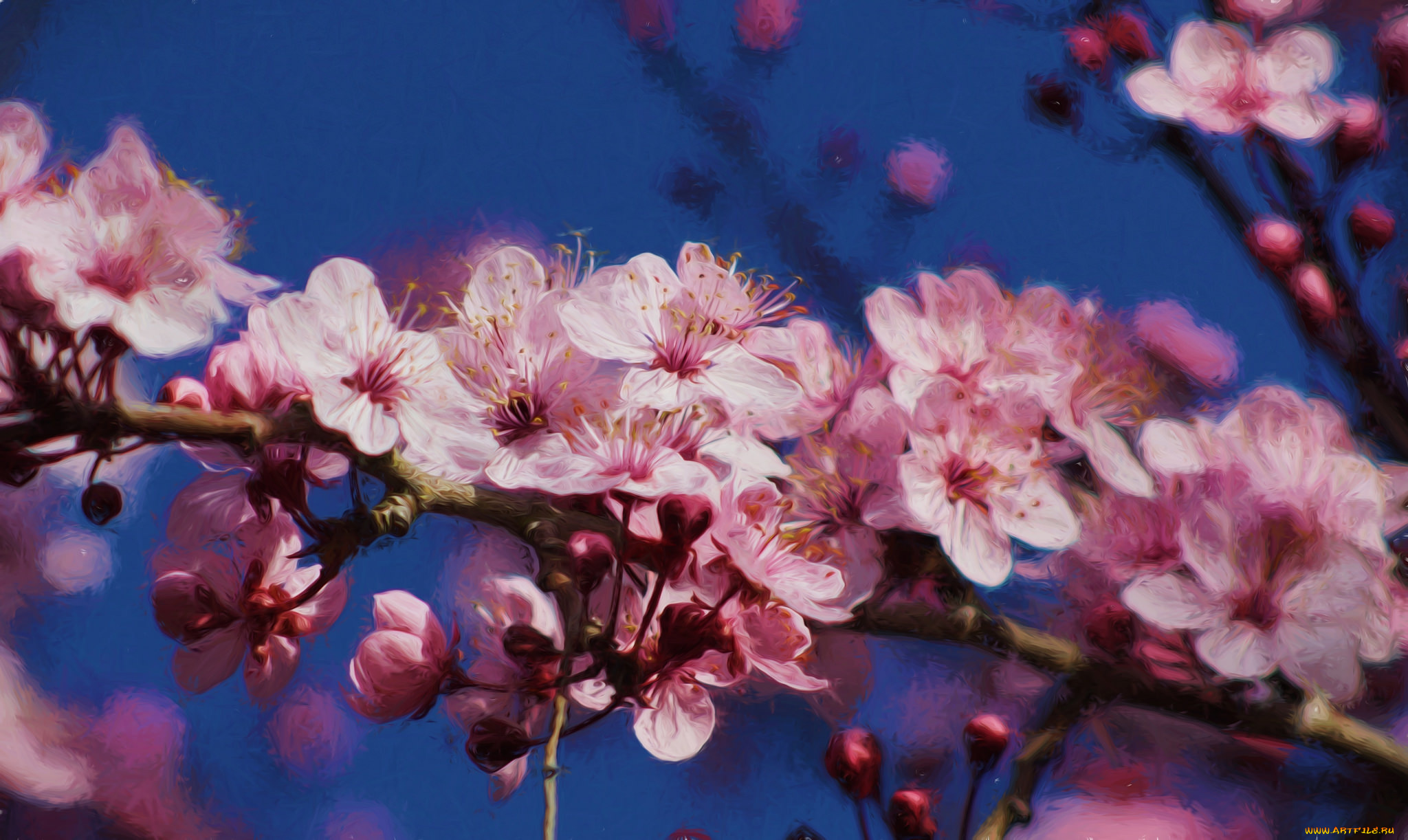 разное, компьютерный, дизайн, листья, цветки, ветка, цветущая, веточка