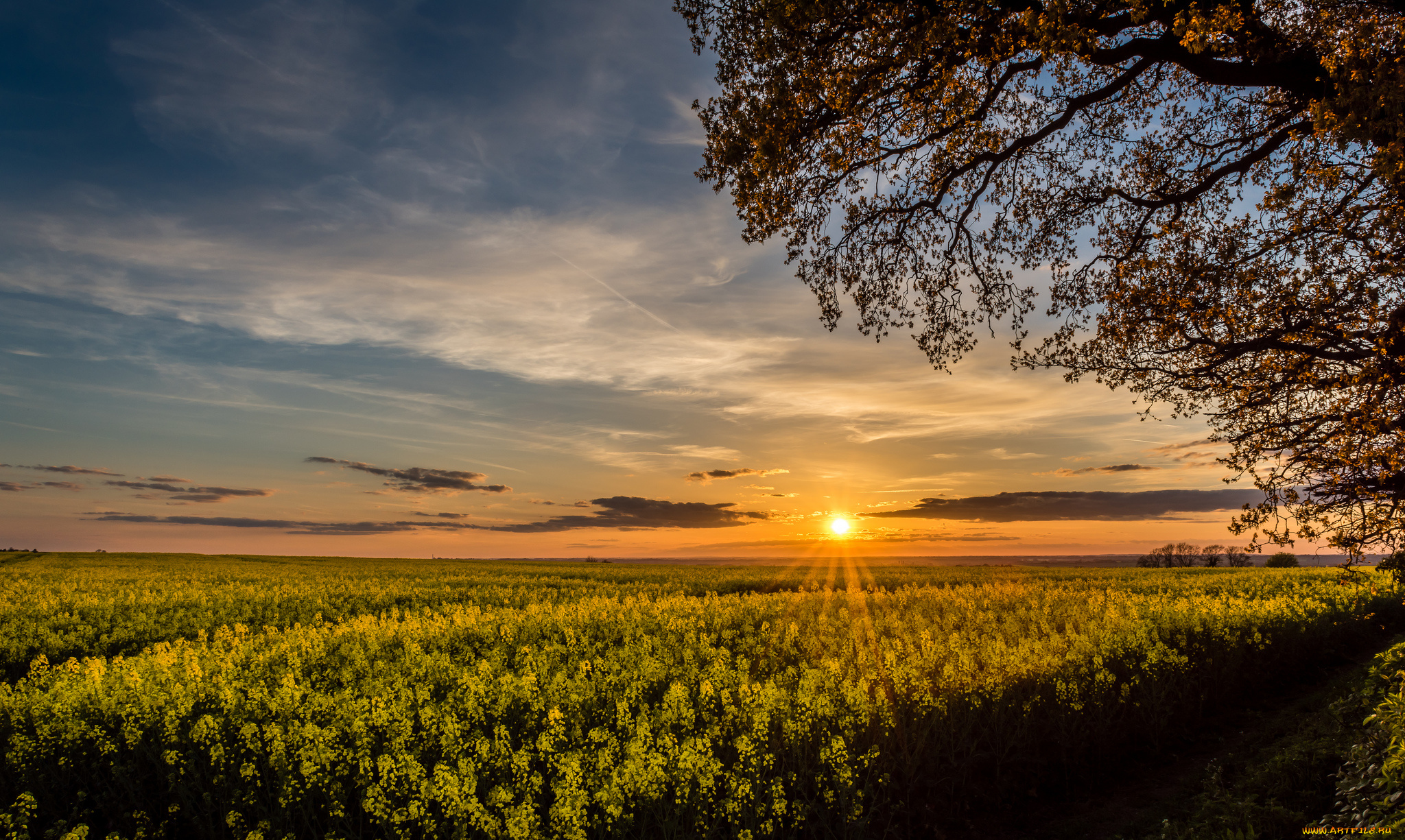 природа, восходы, закаты, рассвет
