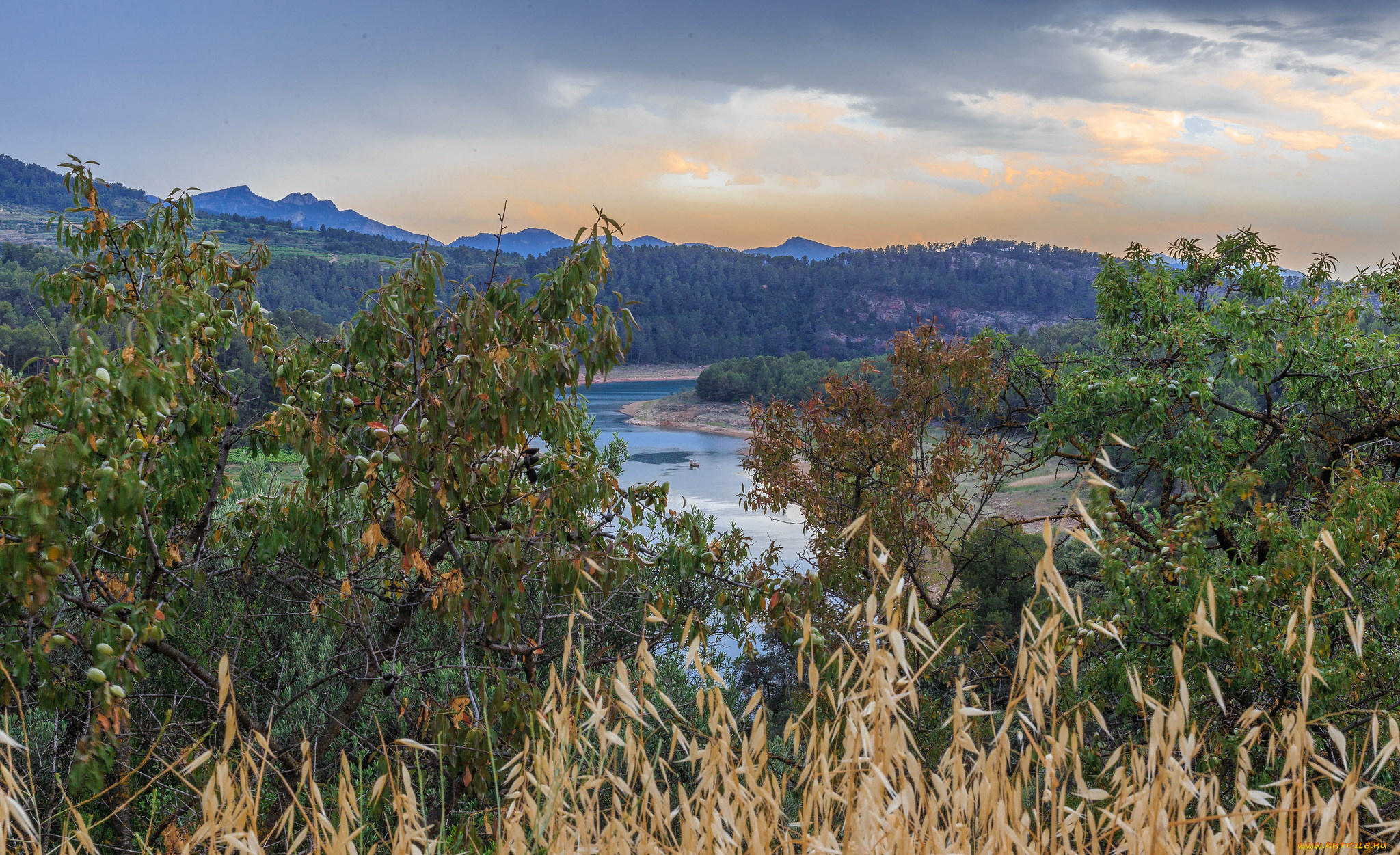 природа, реки, озера, река, лес