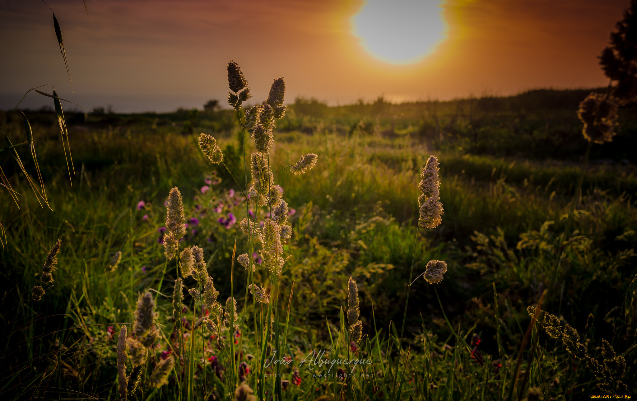 природа, восходы, закаты, рассвет