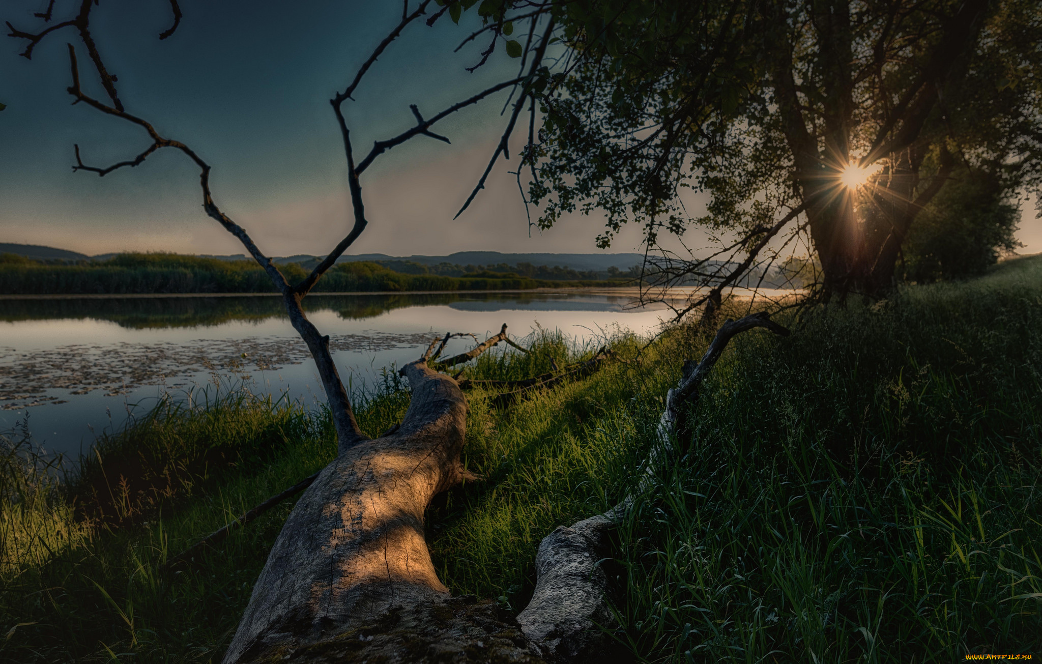 природа, реки, озера, лес, река