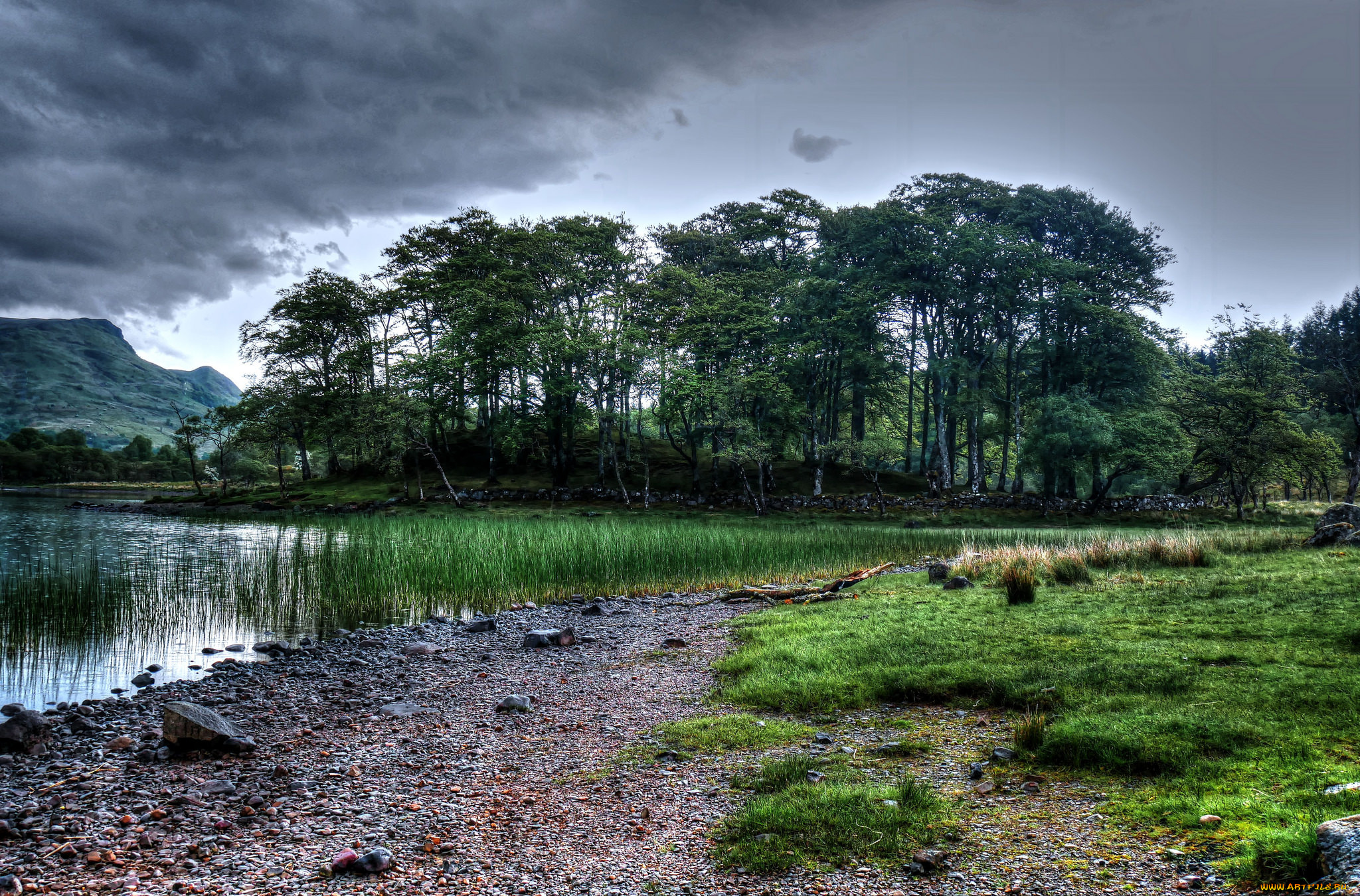 природа, реки, озера, река, лес