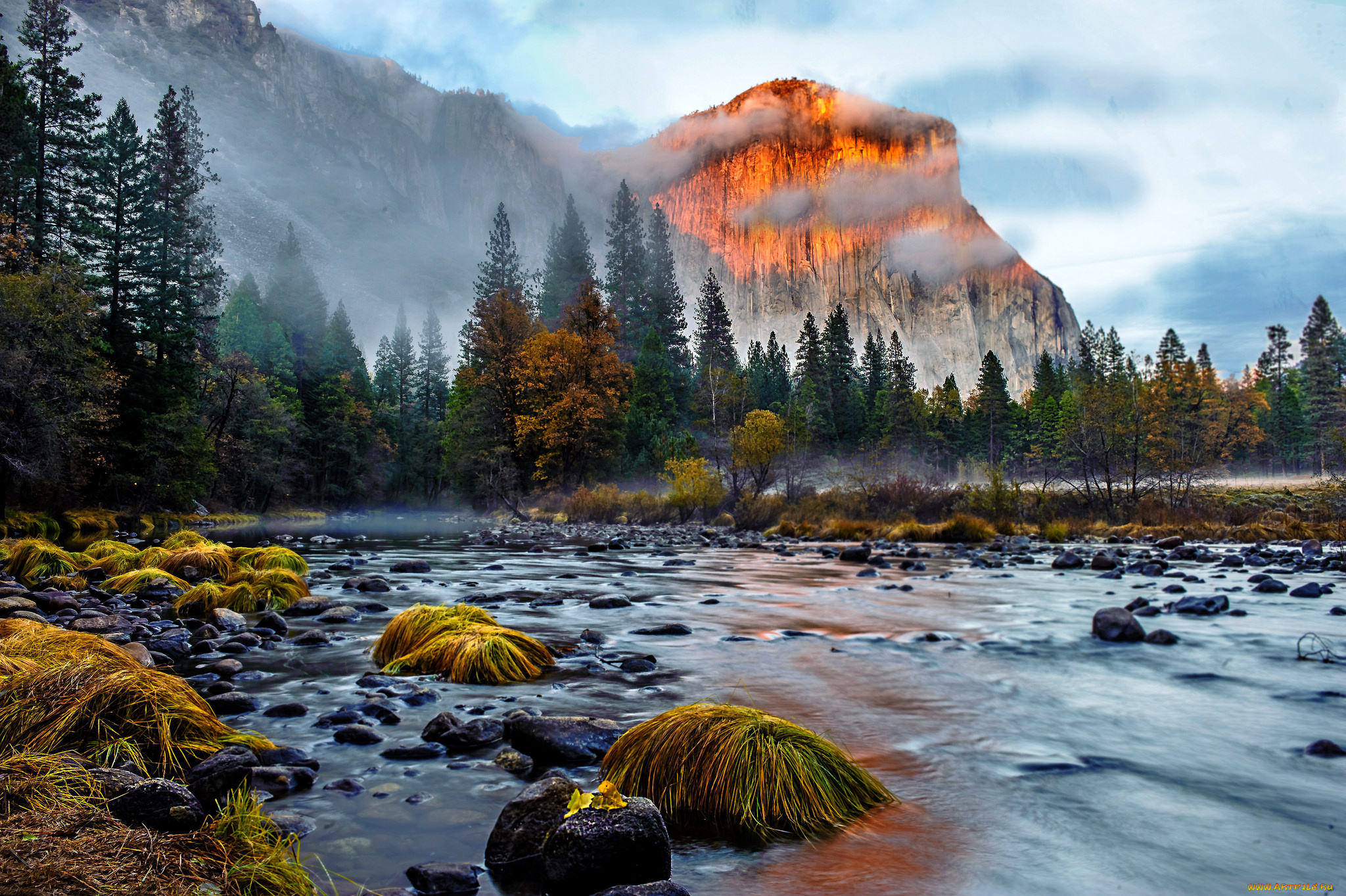 природа, реки, озера, река, лес