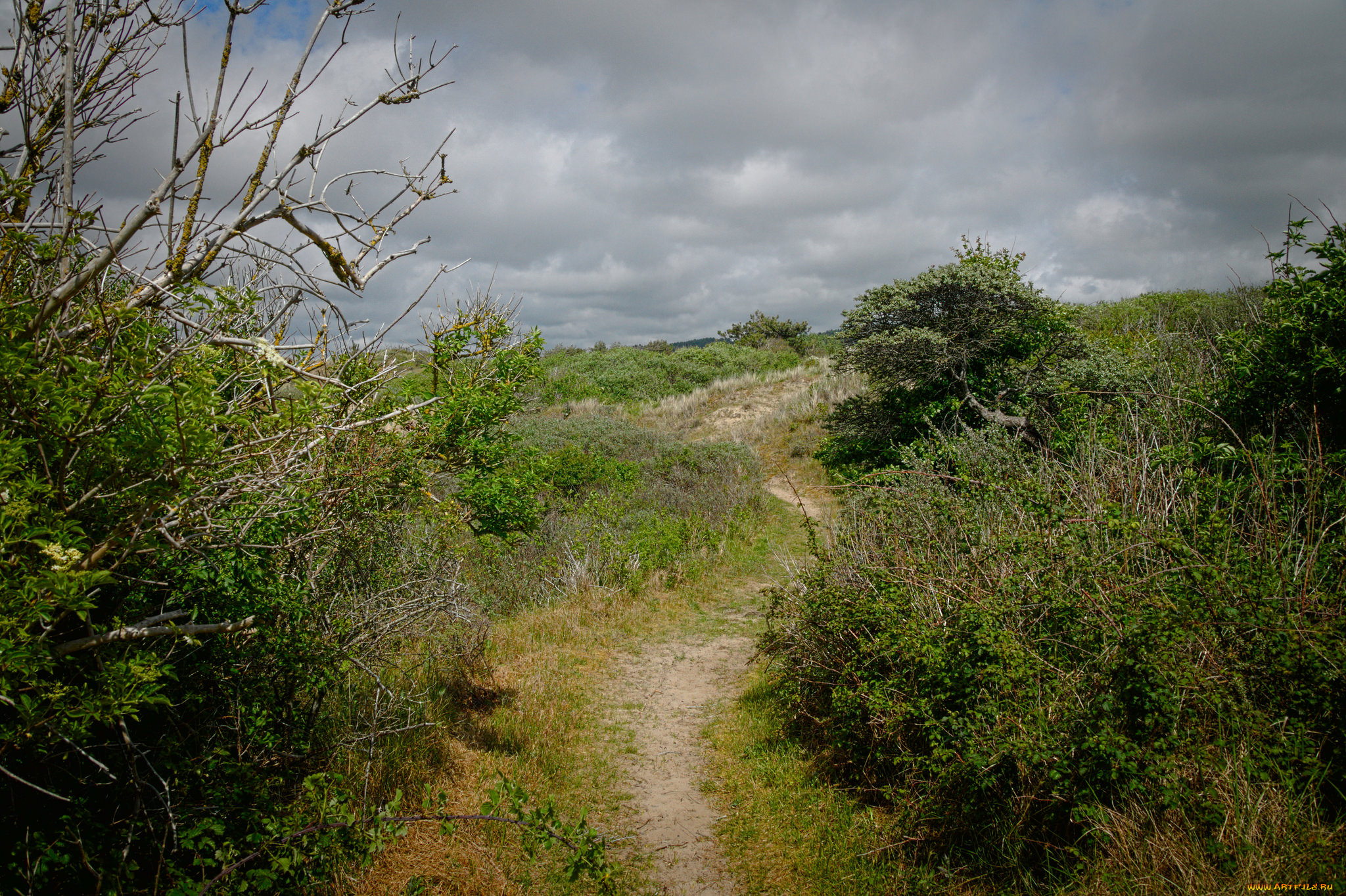 природа, дороги, тракт