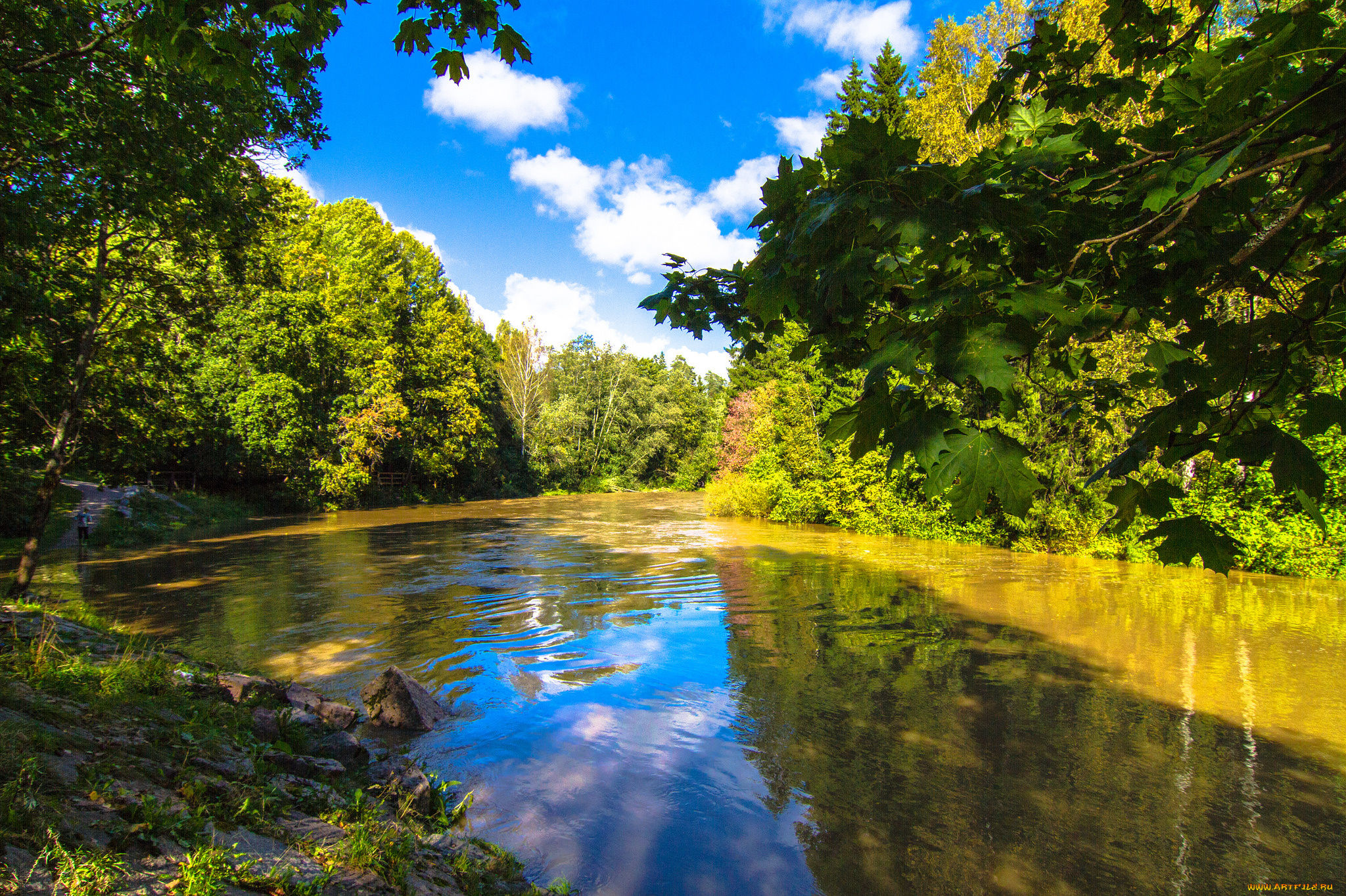 природа, реки, озера, река, лес