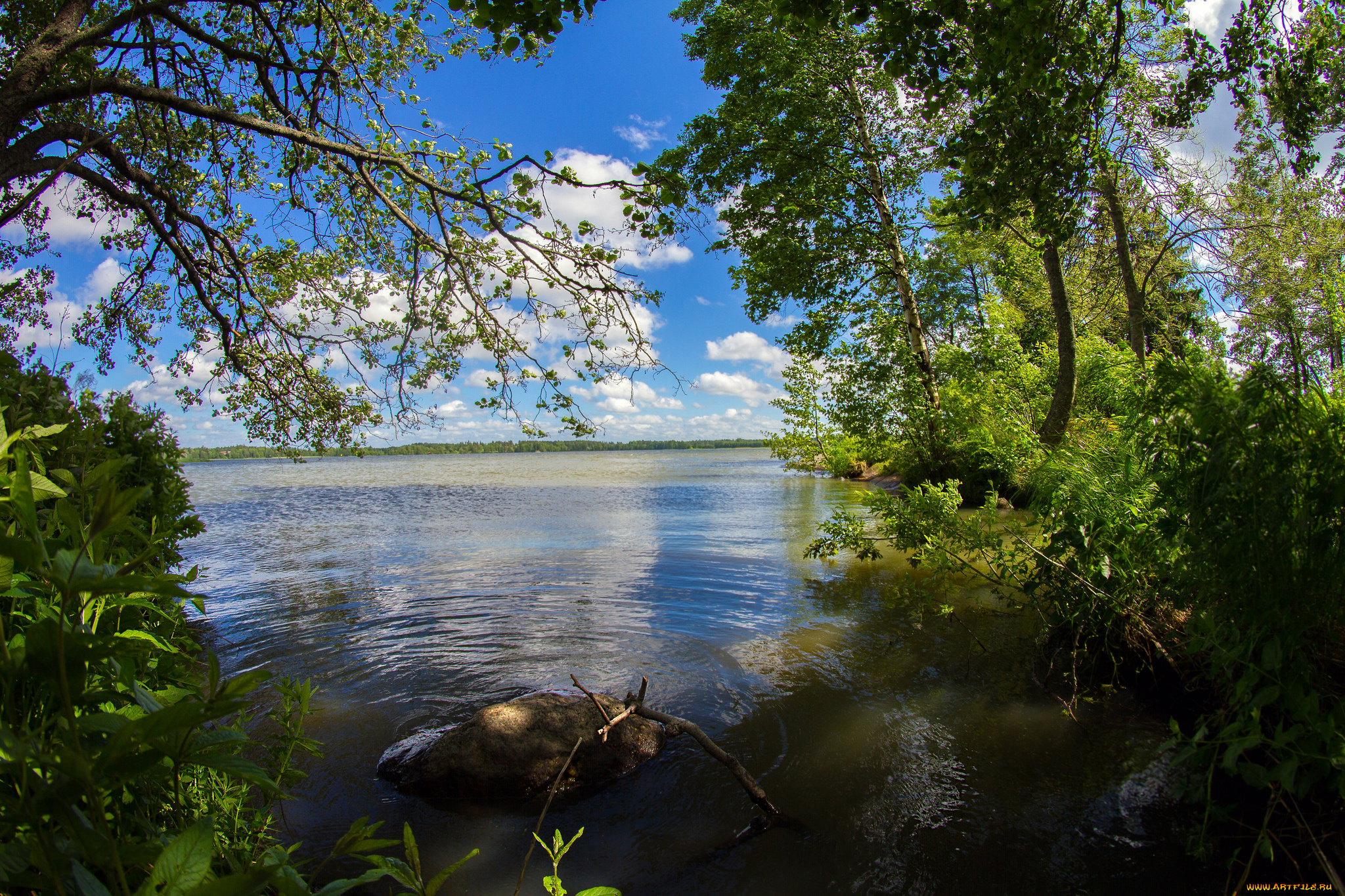 природа, реки, озера, река, лес