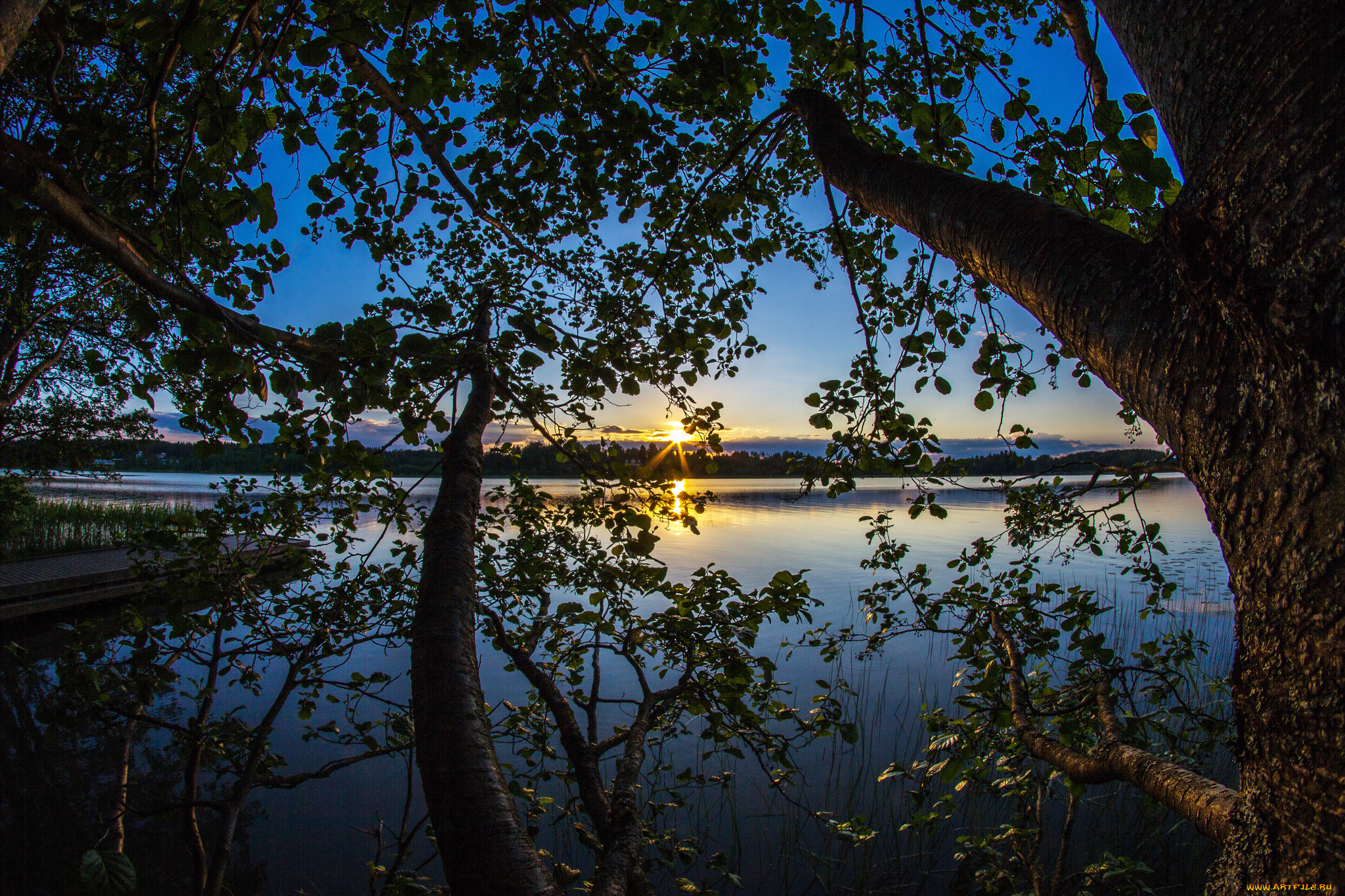 природа, реки, озера, река, лес