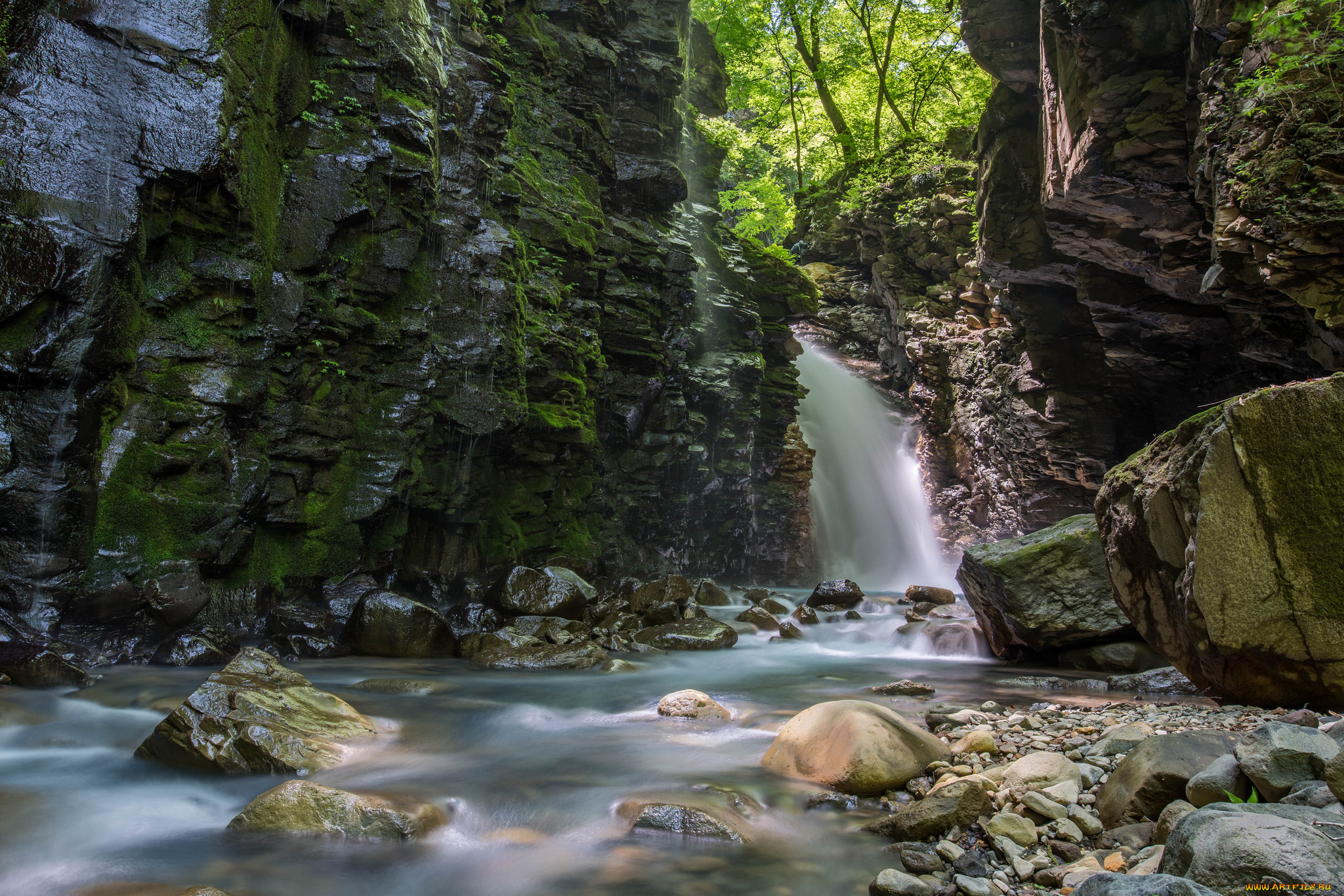 природа, водопады, лес, водопад, река