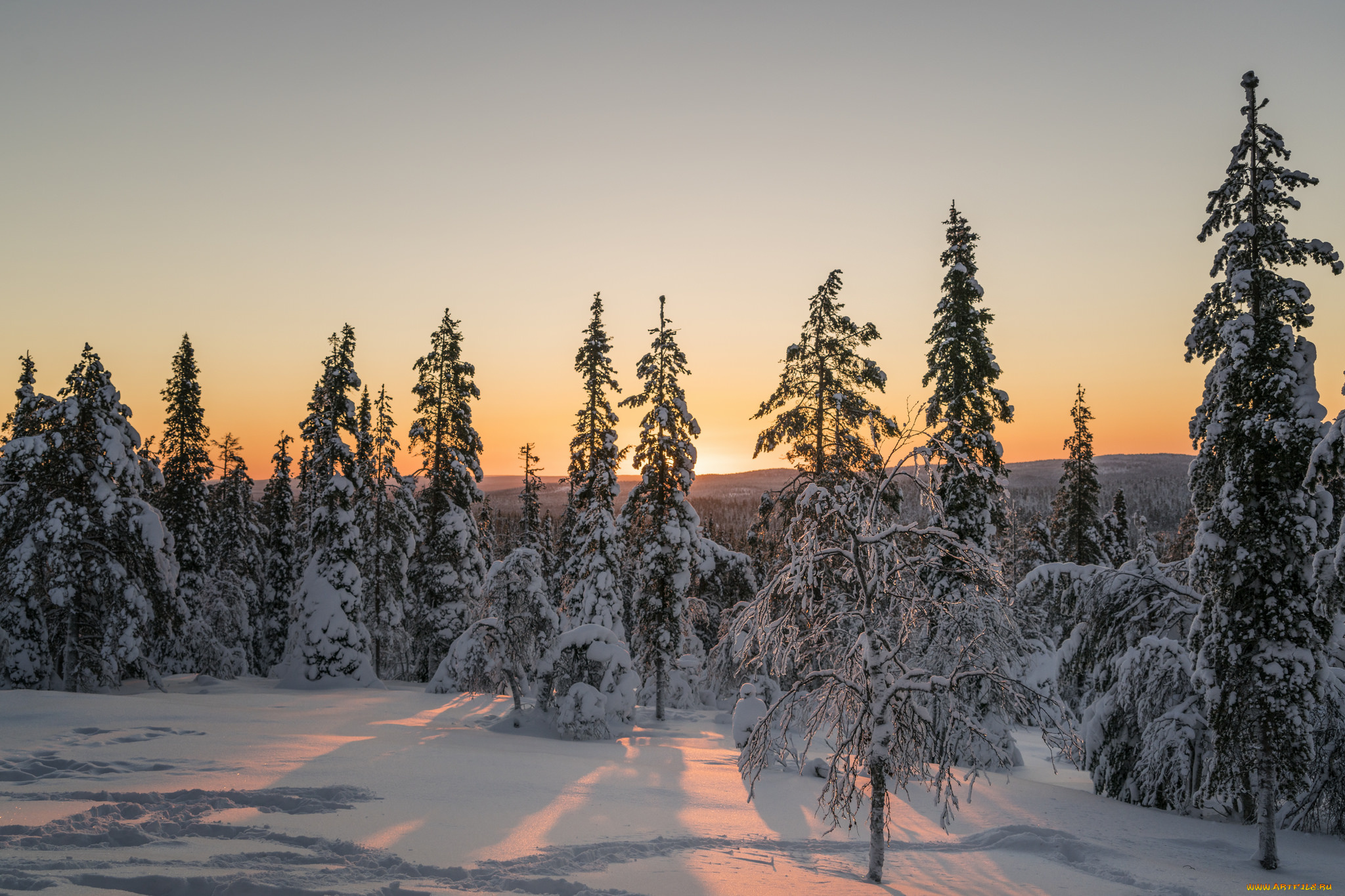 природа, зима, рассвет