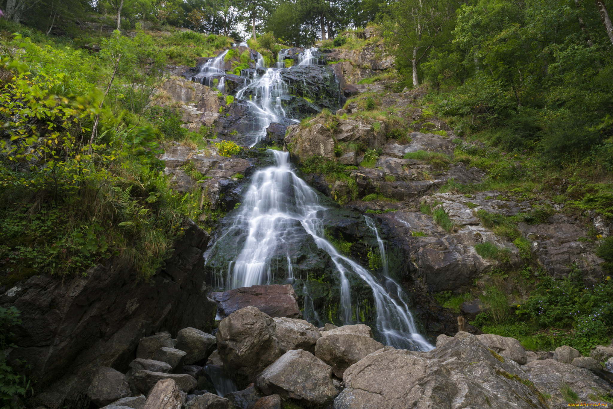 природа, водопады, водопад, река, лес