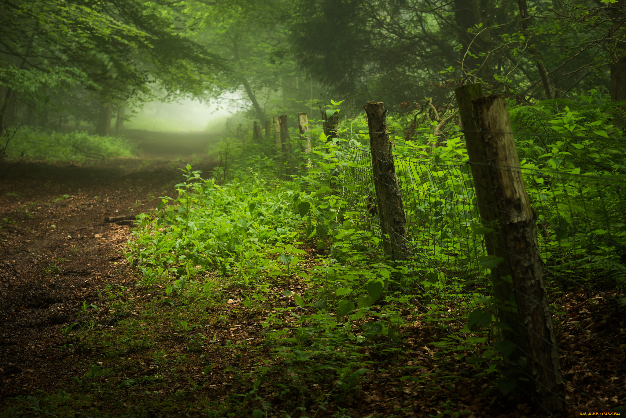 природа, дороги, тракт