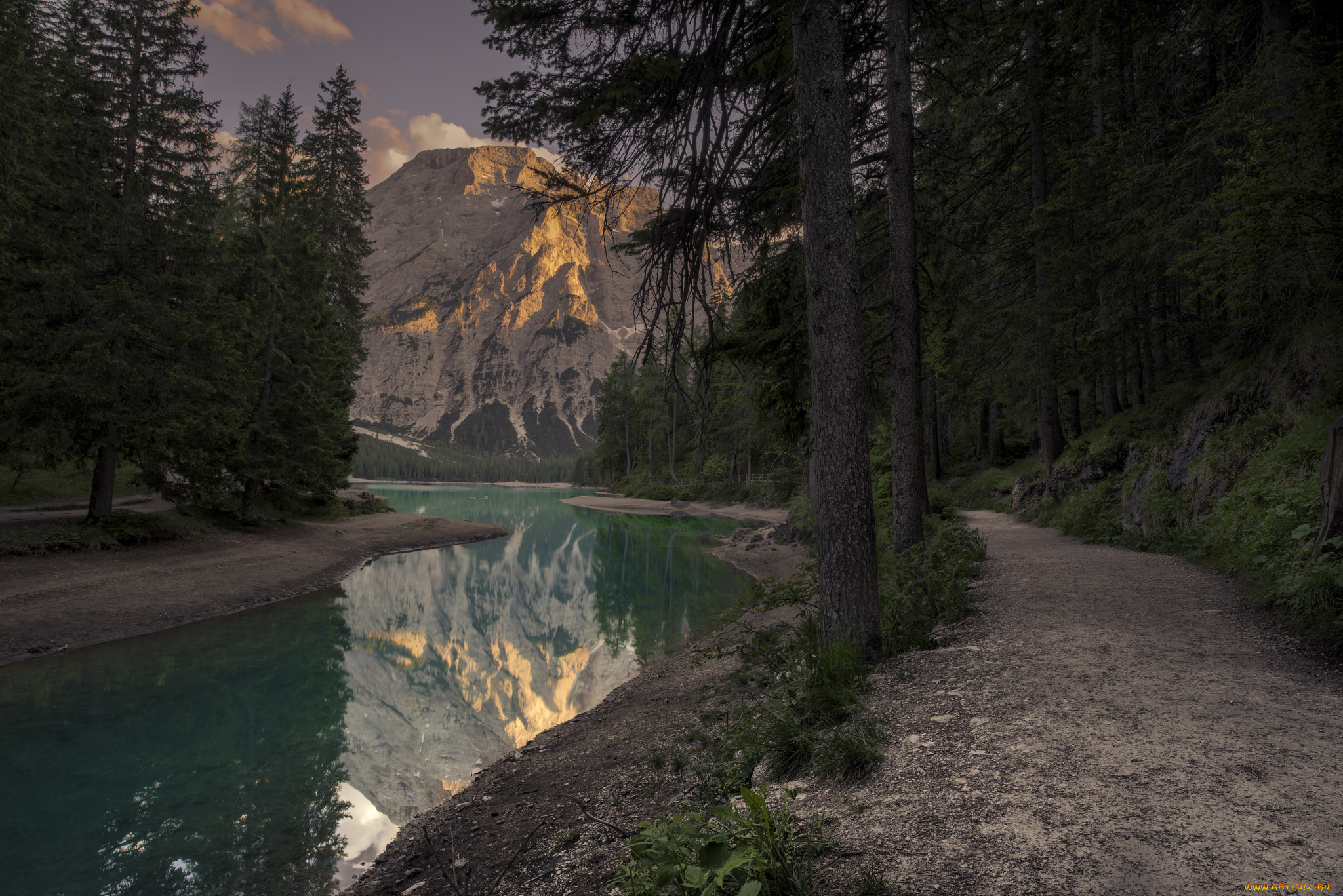 природа, реки, озера, река, лес