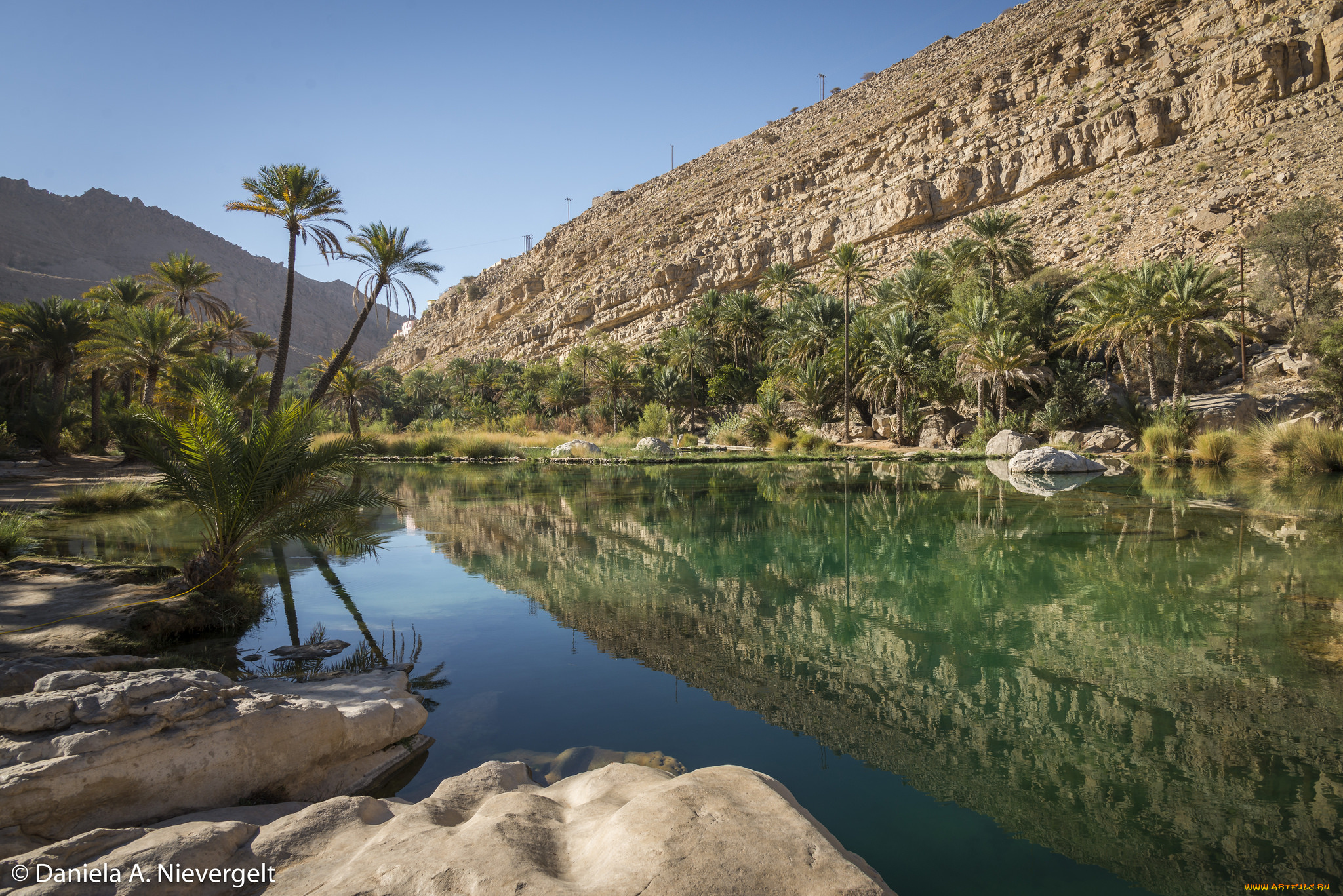 природа, реки, озера, река, лес