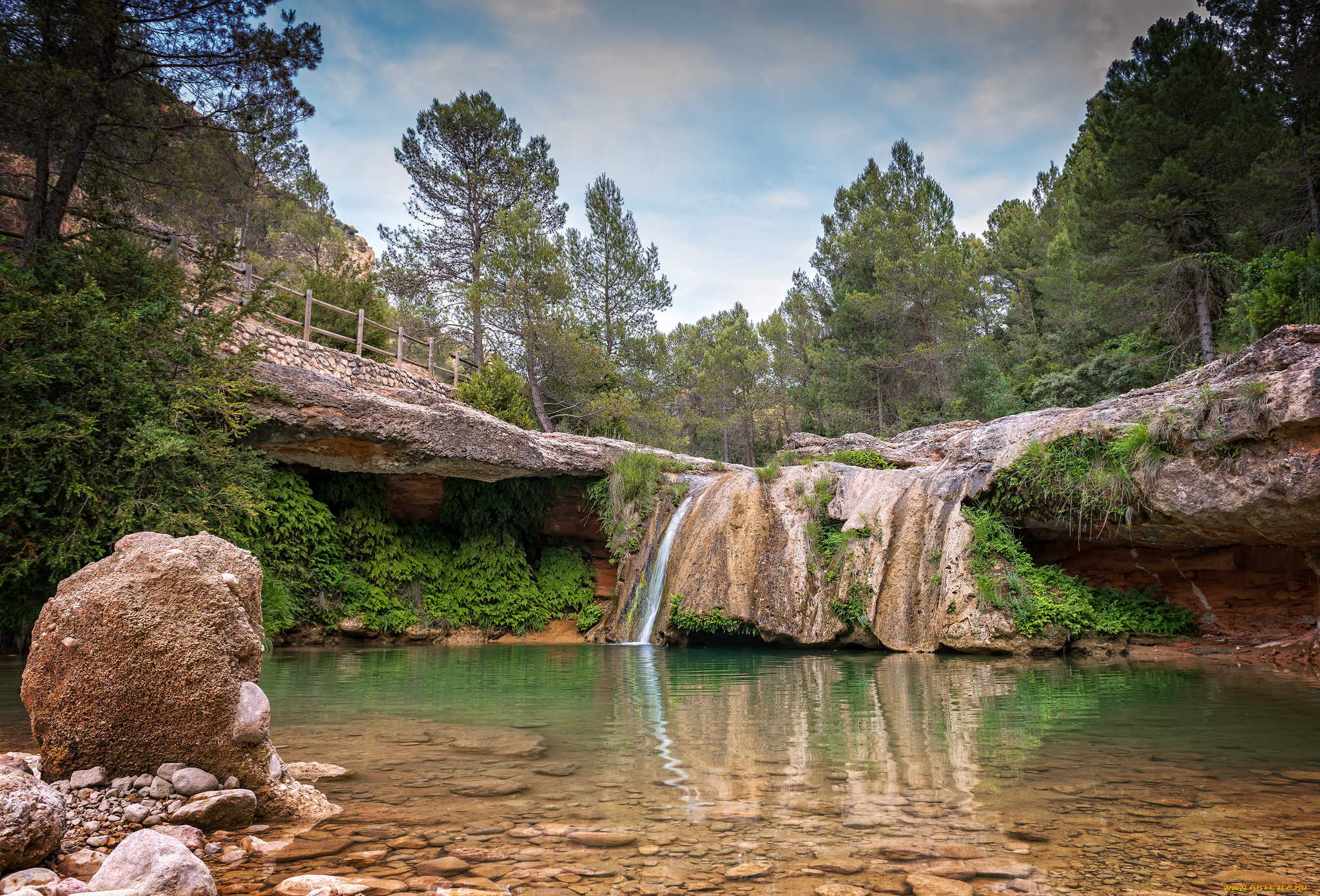 природа, реки, озера, река, лес