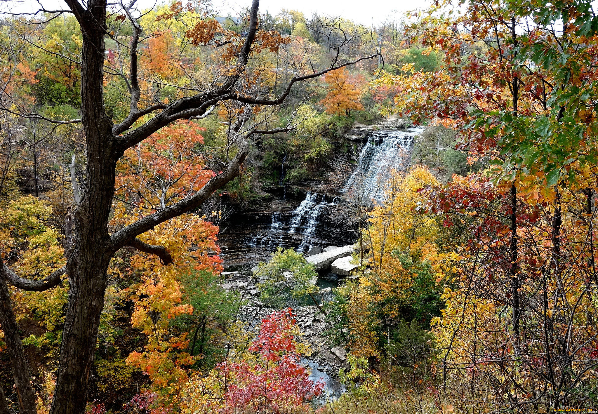 природа, вода, водопад, река, лес