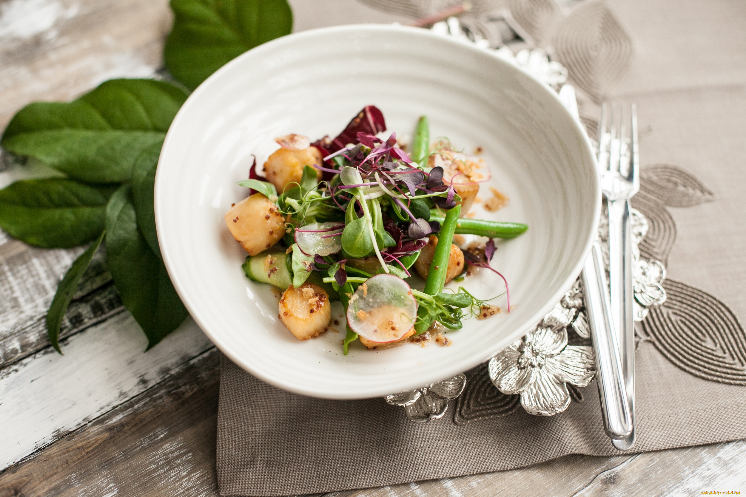 еда, салаты, , закуски, зелень, редис, салат