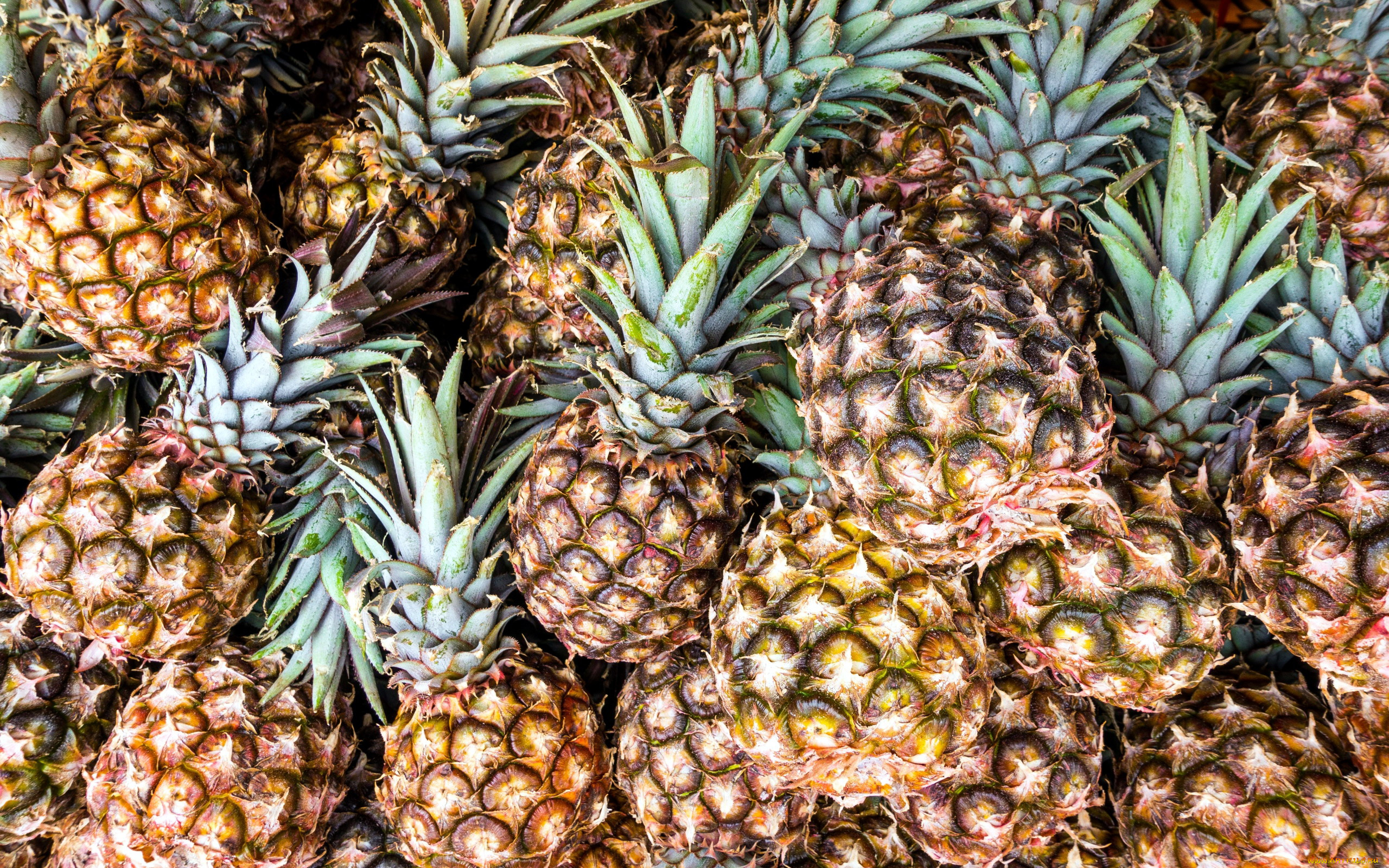 еда, ананас, экзотический, много, фрукт