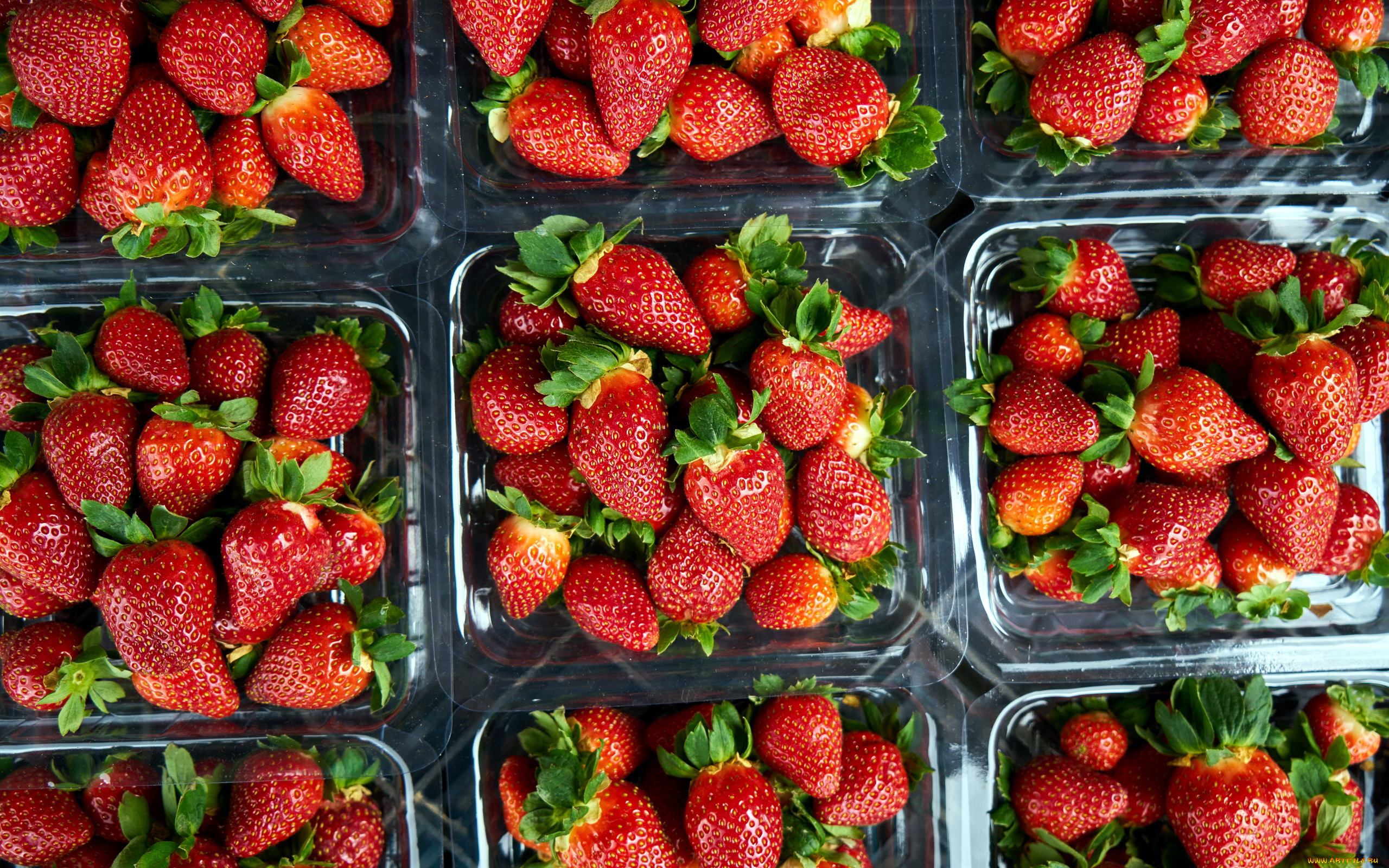 еда, клубника, , земляника, много, ягоды