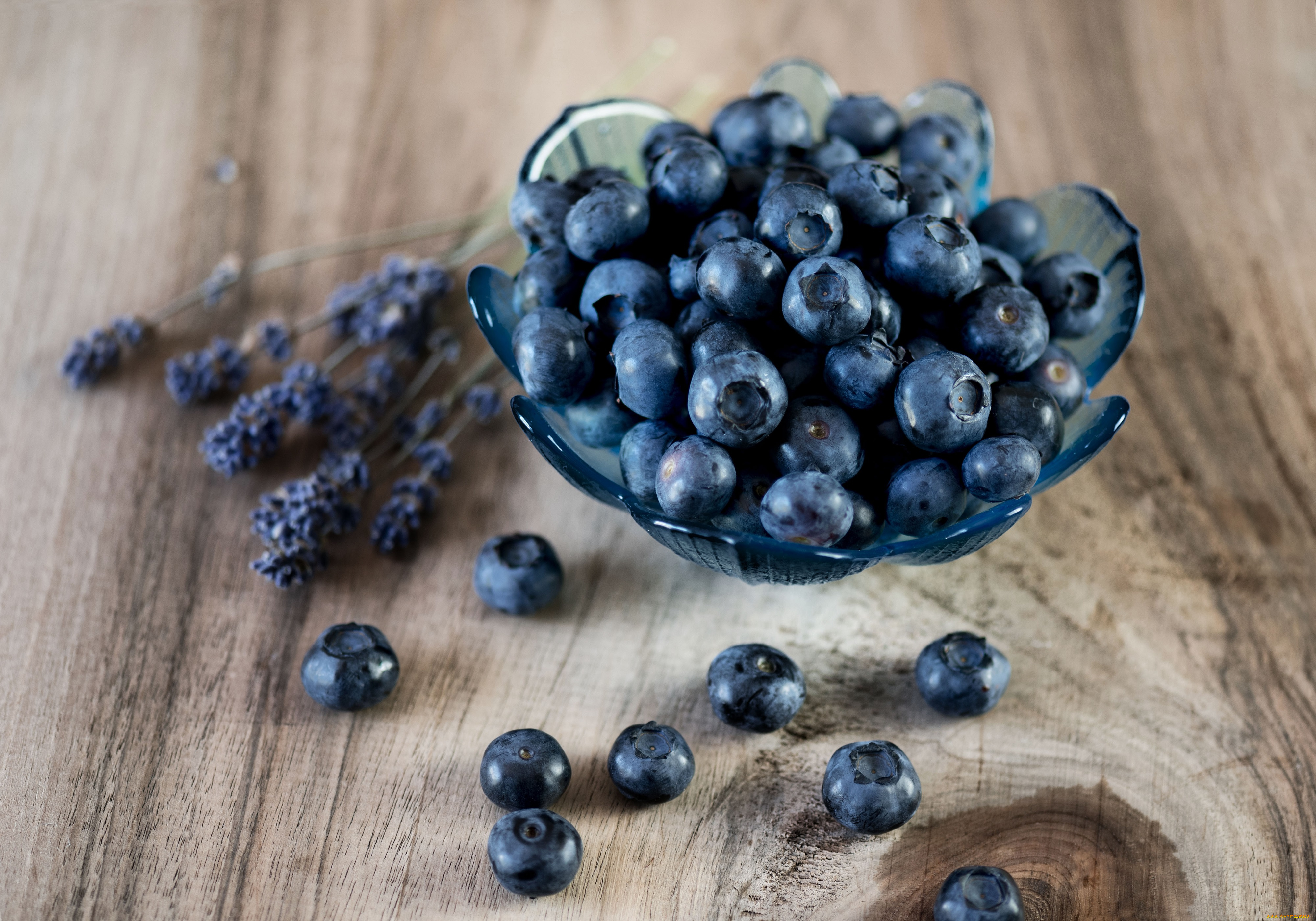 еда, голубика, , черника, спелая, ягода, черника