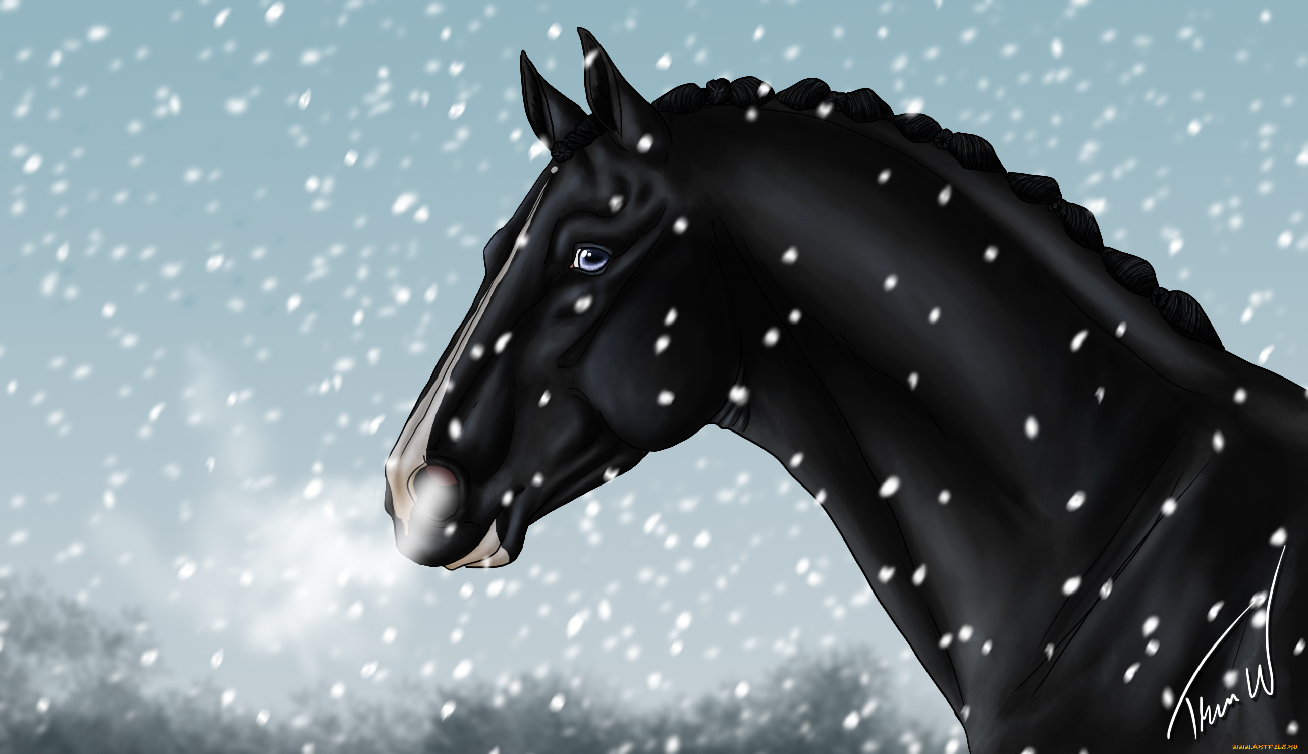 векторная, графика, животные, , animals, фон, лошадь