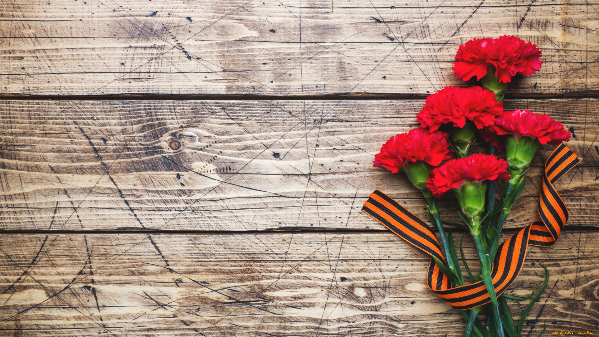 праздничные, день, победы, гвоздики, 9, мая, лента