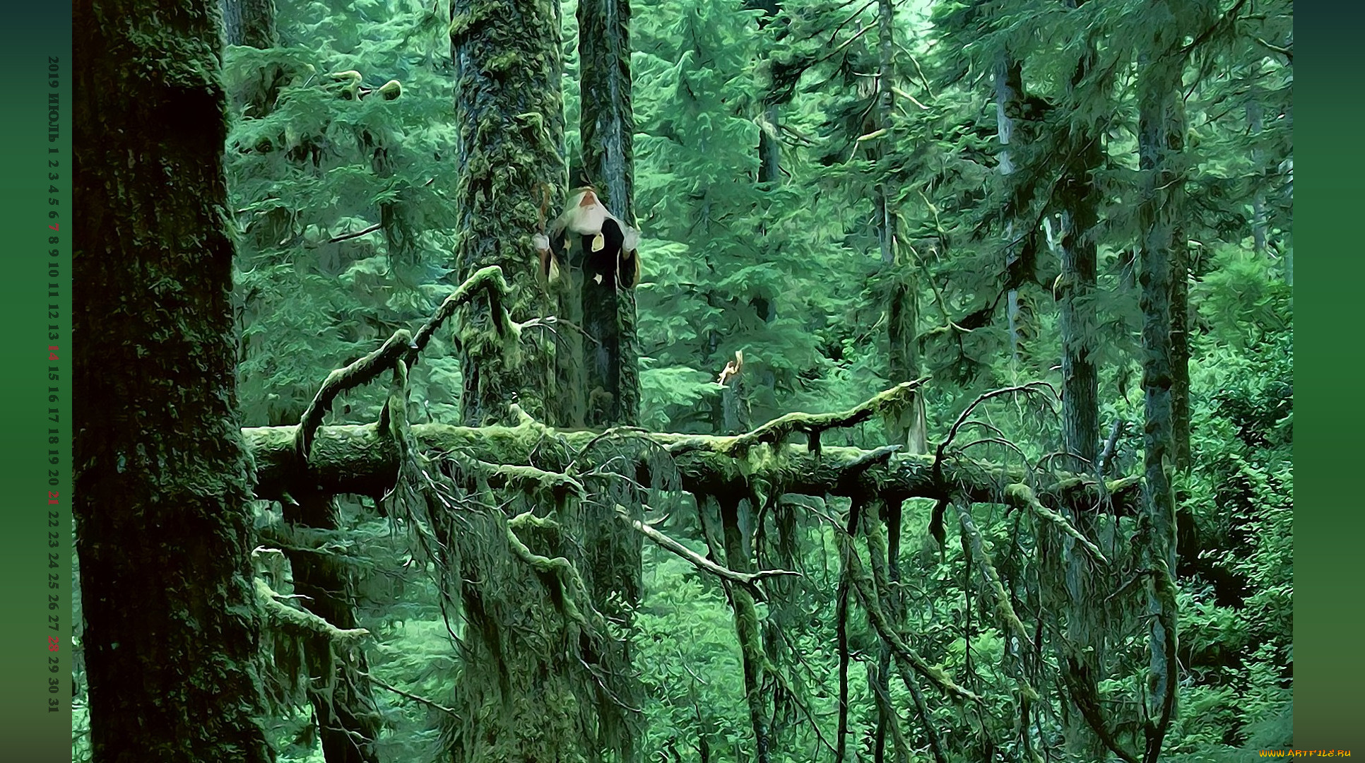 календари, фэнтези, природа, растение, дерево, лес, старец, calendar, 2019