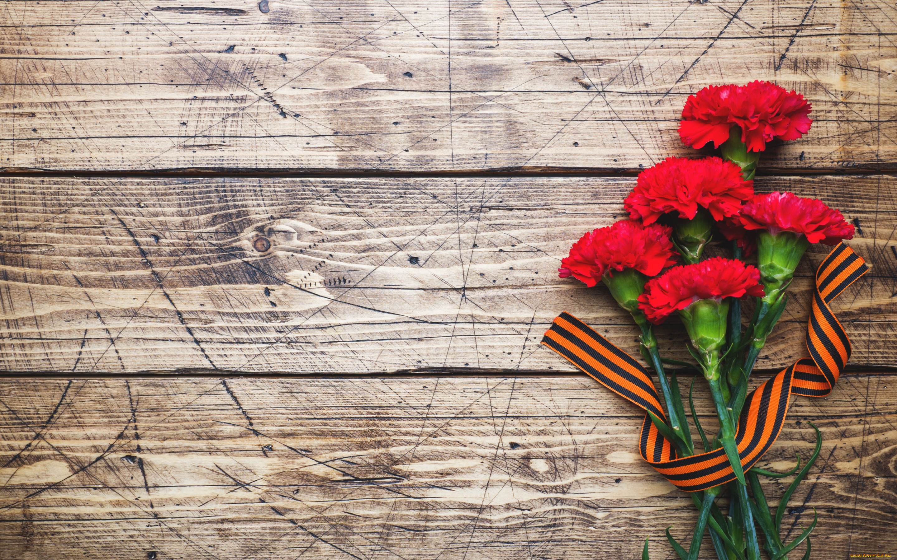праздничные, день, победы, гвоздики, 9, мая, лента