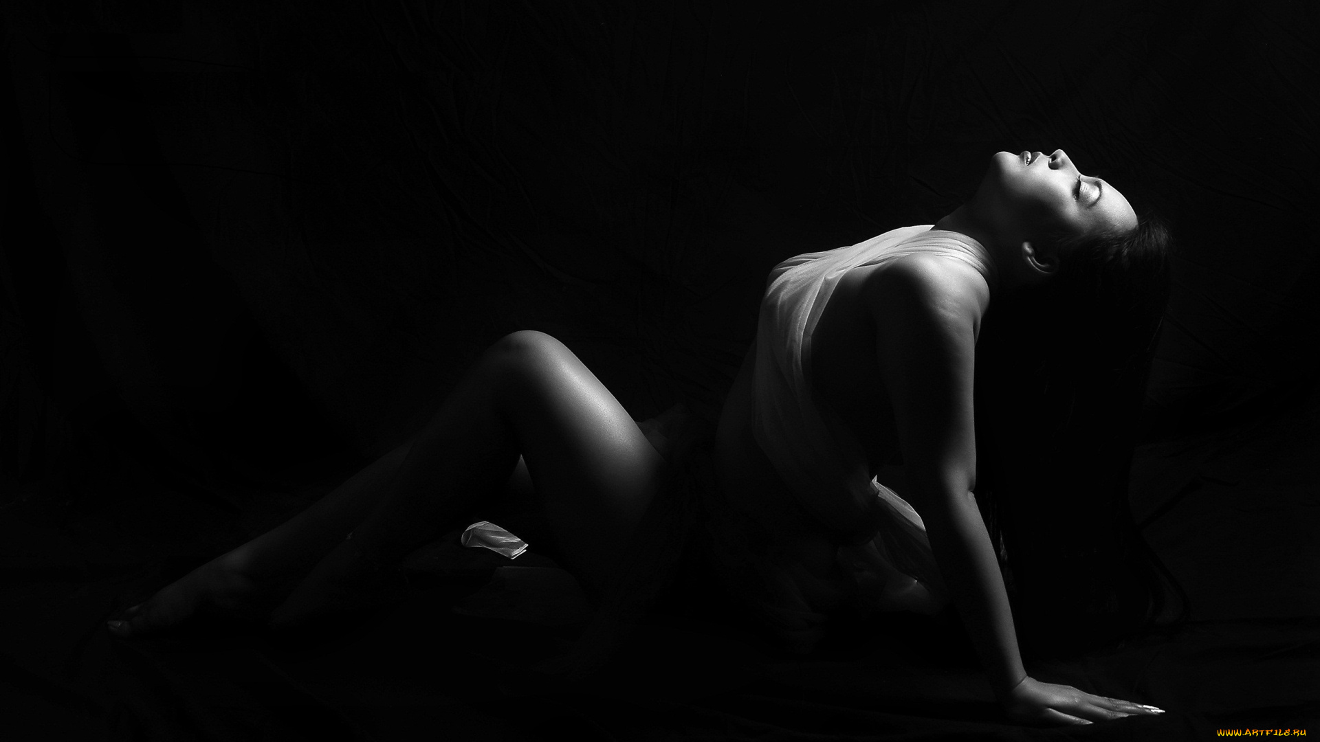 девушки, -, черно-белые, брюнетка, ткань