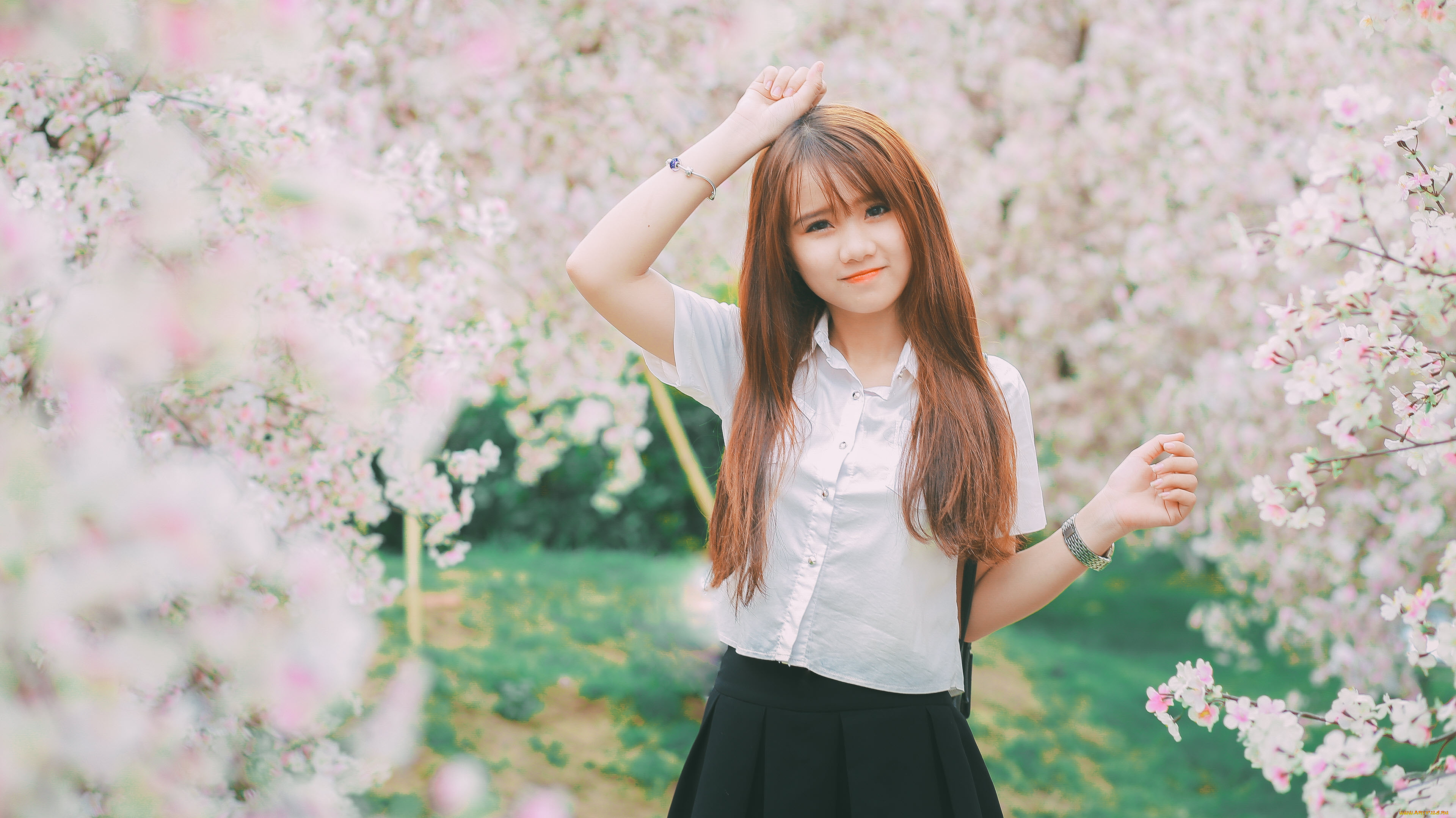 девушки, -, азиатки, рыжая, рубашка, юбка, сад, сакура, цветение
