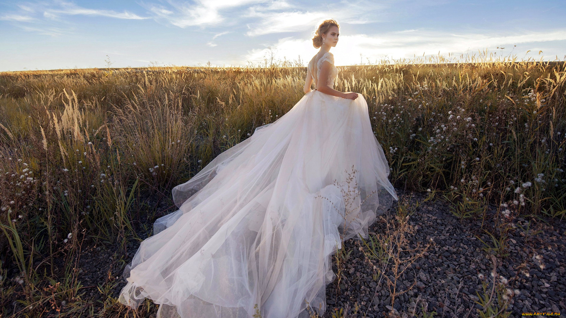 девушки, -, невесты, невеста