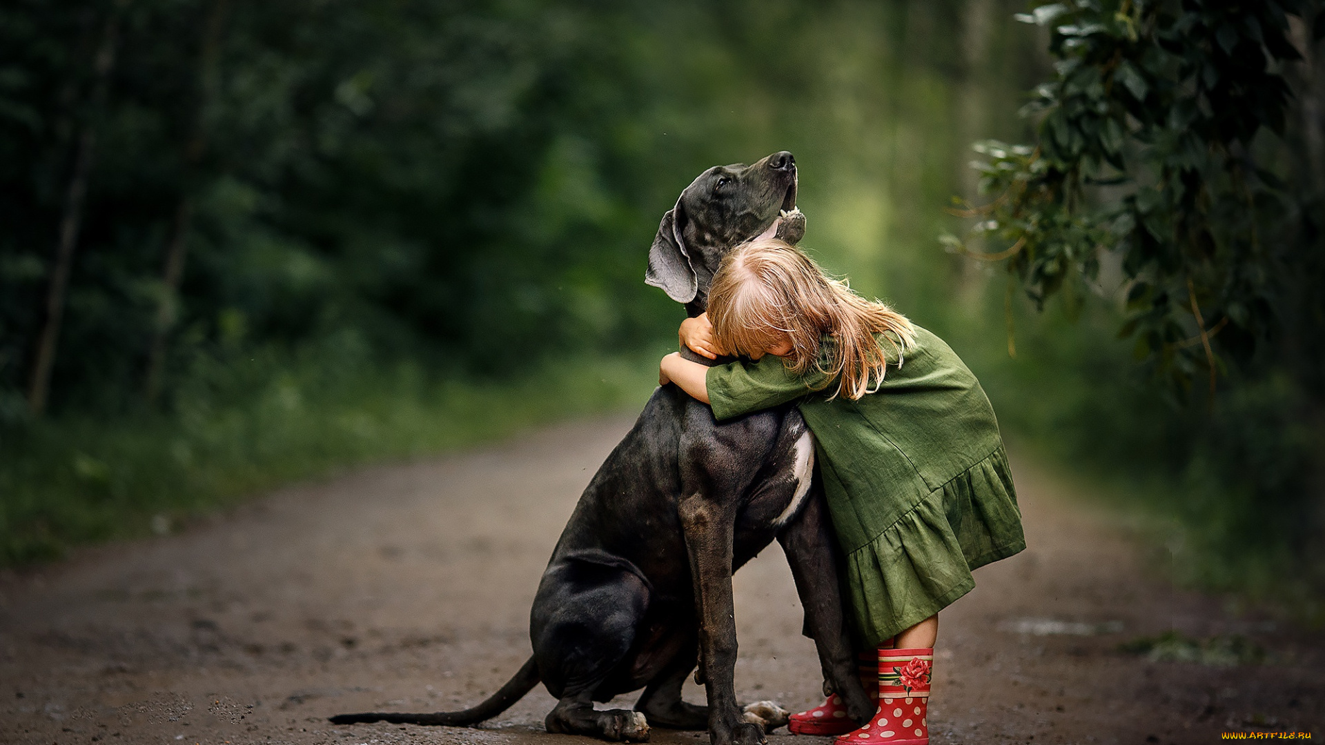 разное, дети, девочка, собака, дорога, объятия